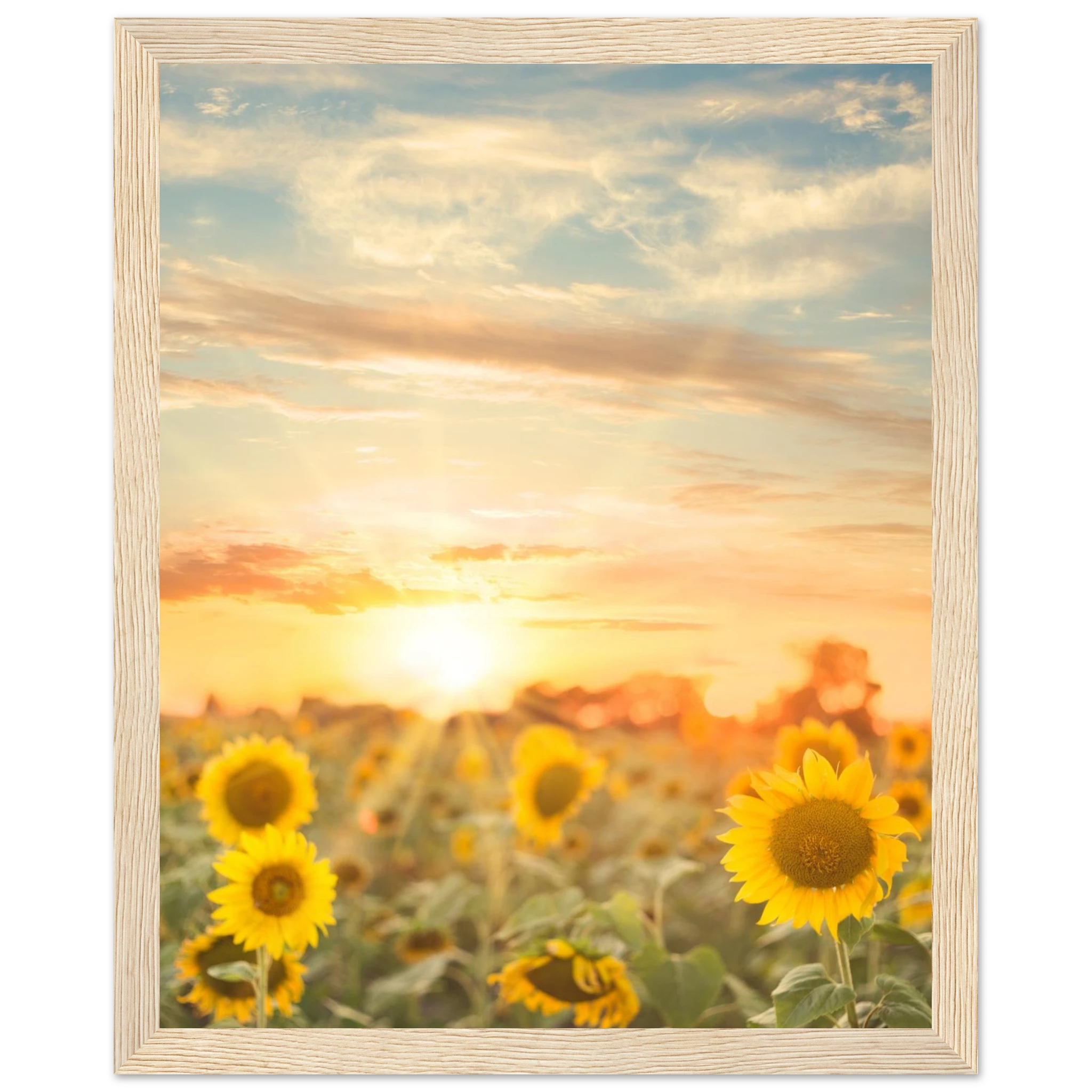 82350dcf-0568-48a6-a34c-42d4b01766dc