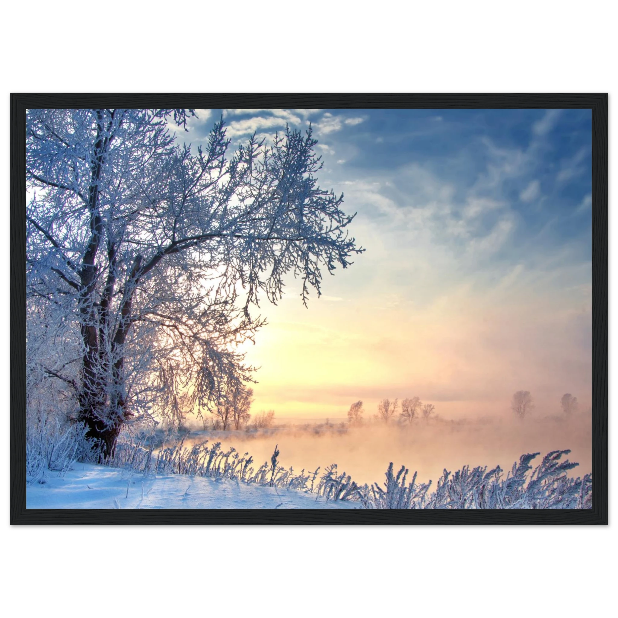 825067e6-afb0-4be5-91d8-9ef18e794c00