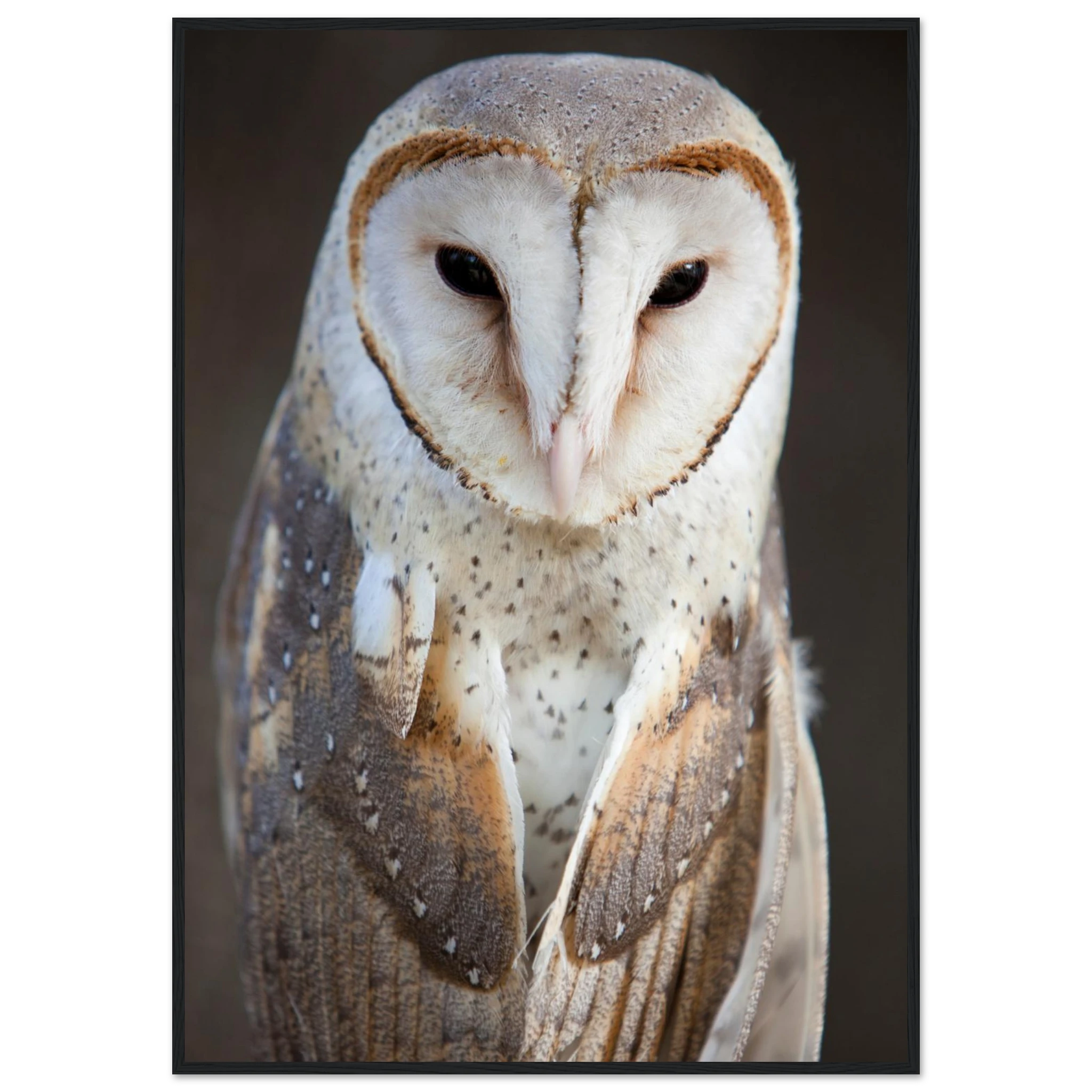 8296b5ce-6399-4e12-bf6f-931921922bac