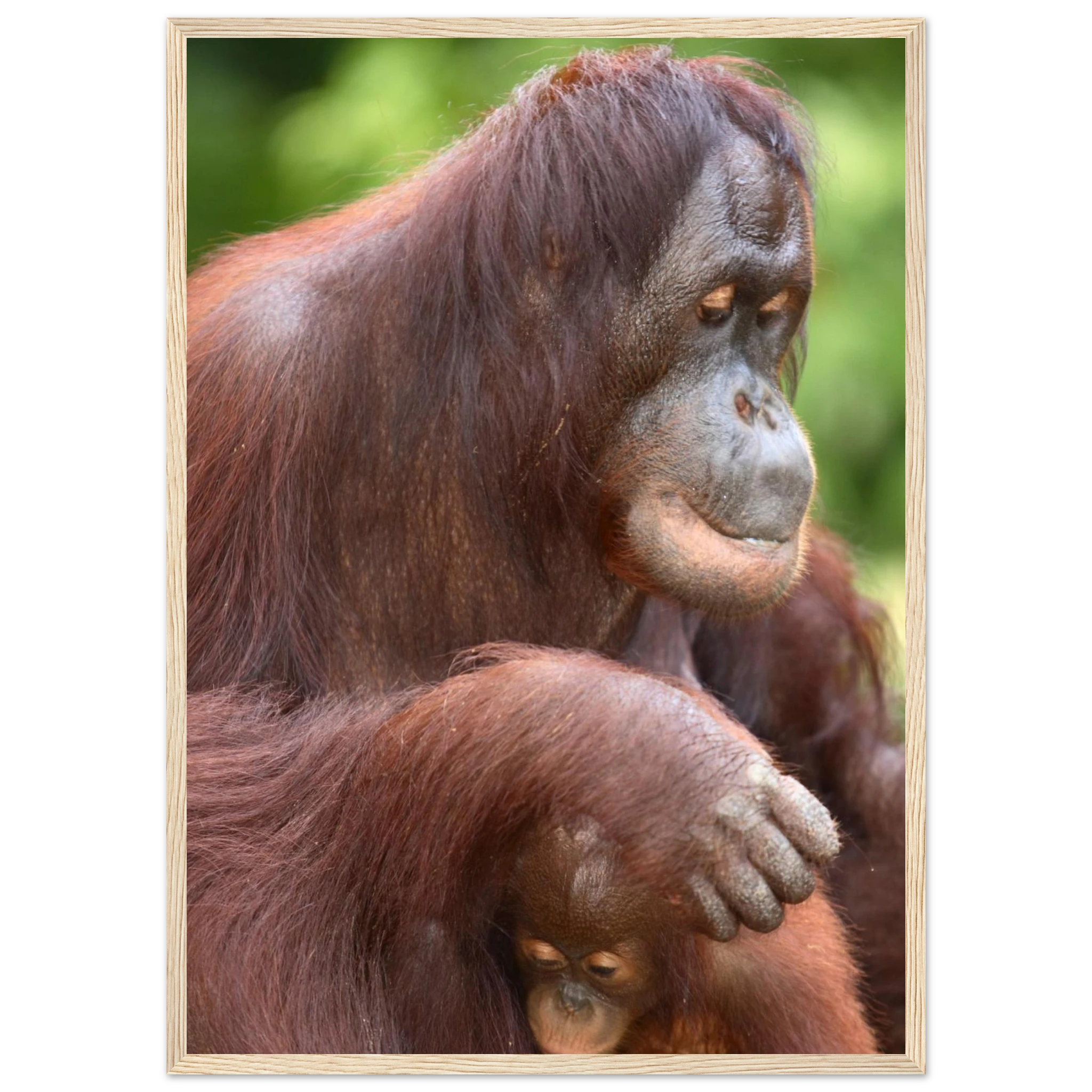 82aecbfa-d2f7-43ea-b579-17a0f65c7947