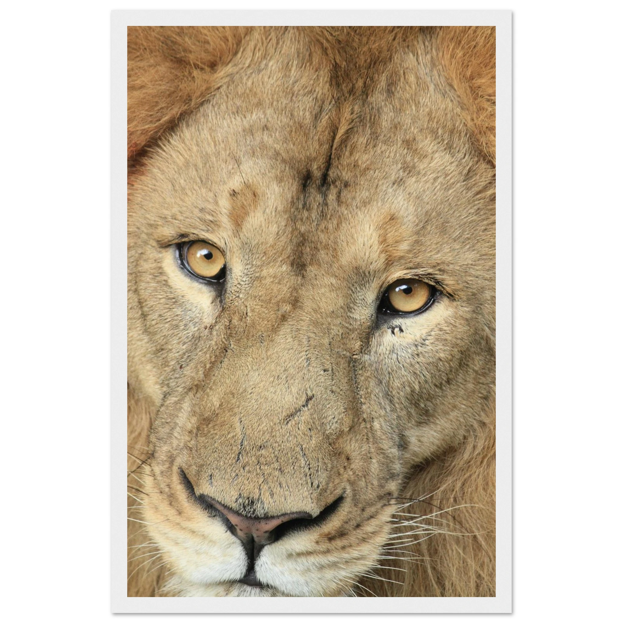 82bf8a39-e02f-44af-9c05-21f72ebc4488