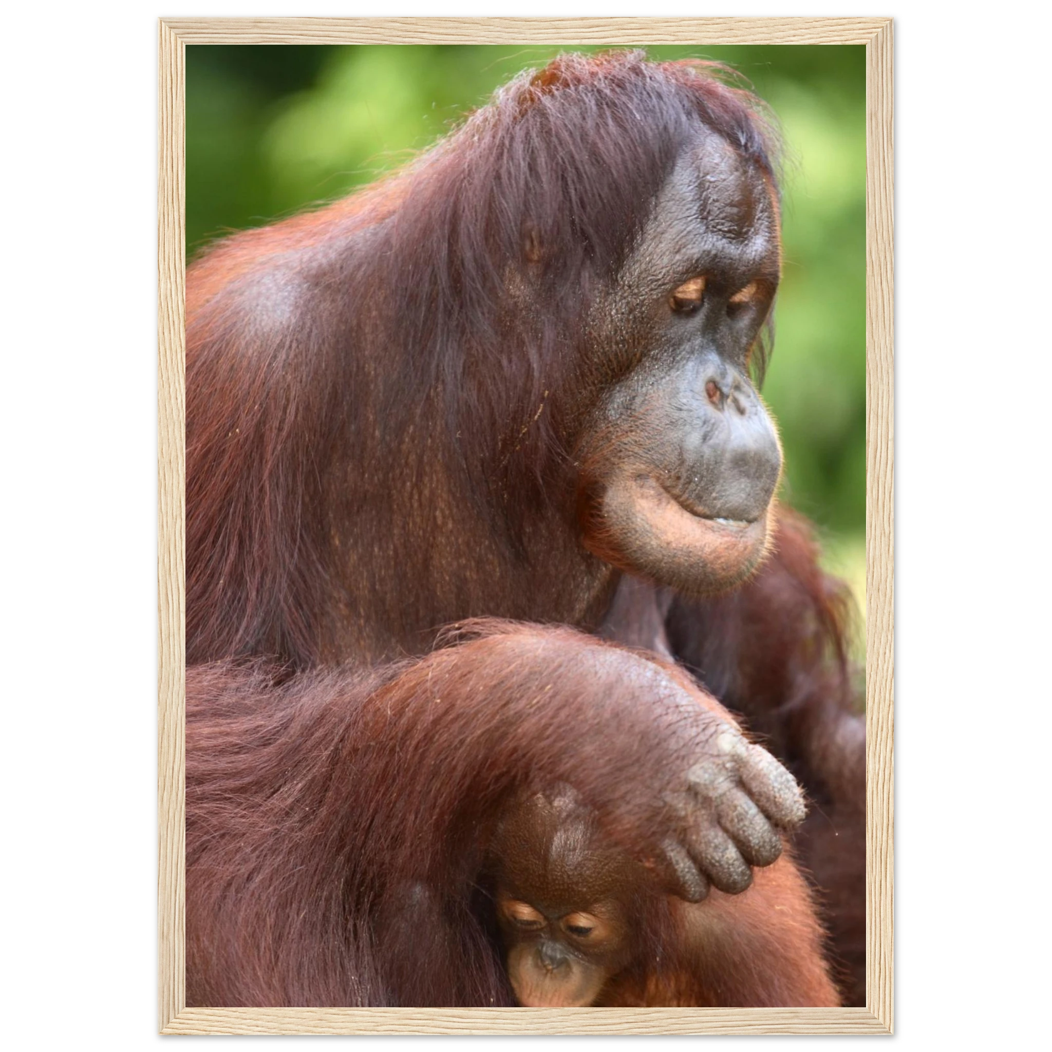 82c6ceb0-e2f1-4ed0-a510-97187fd2c754