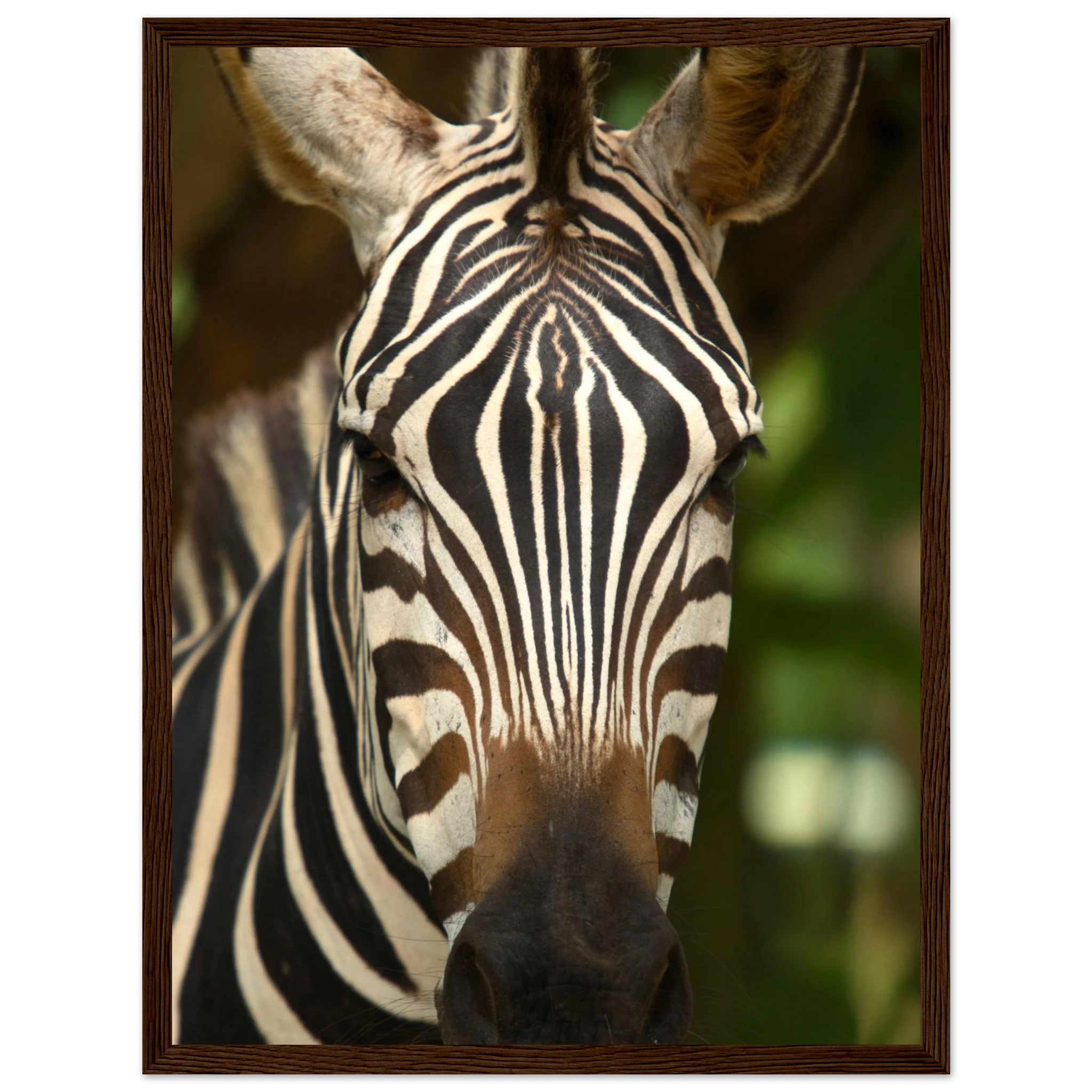 82d464bd-7281-4773-8469-fbcdc7515f54