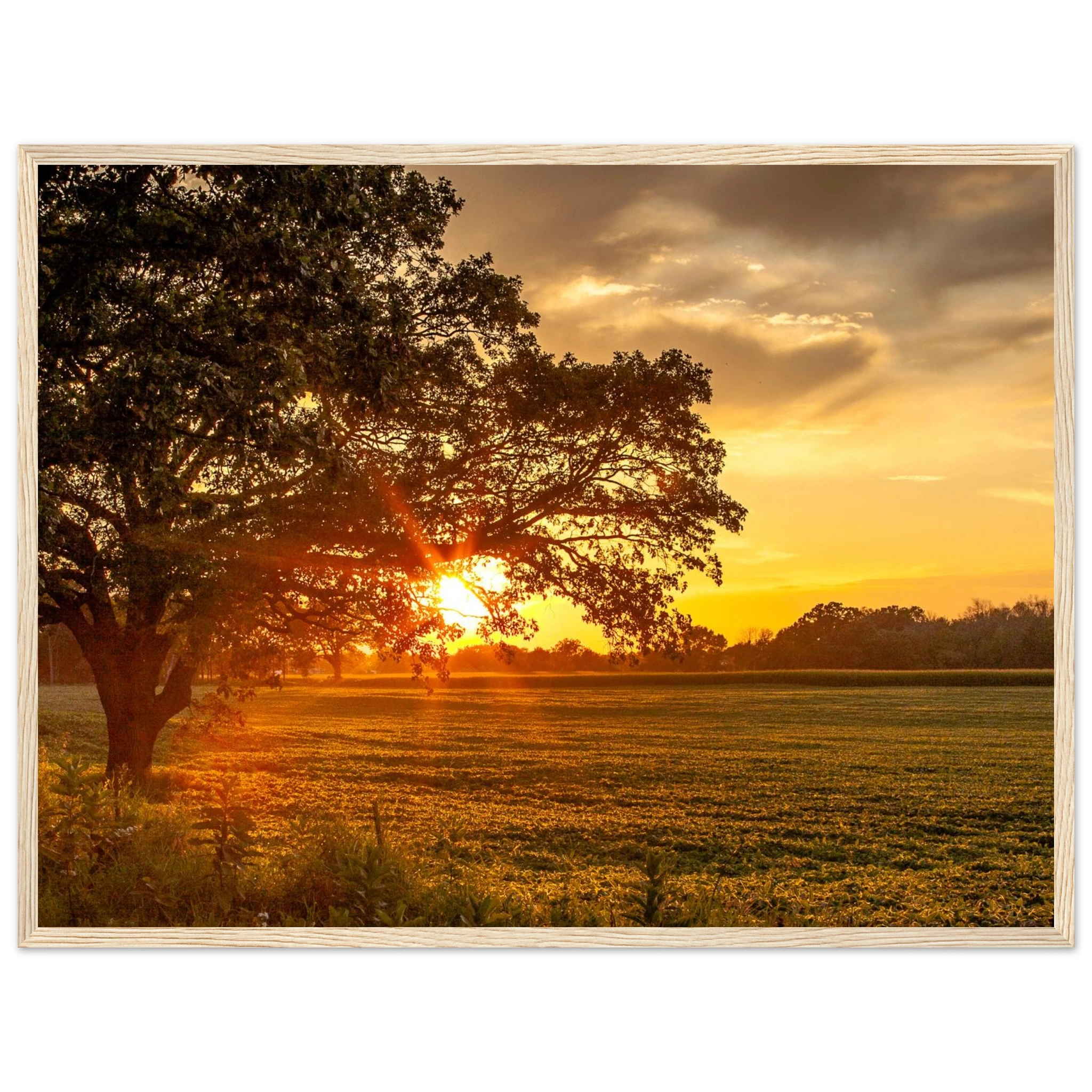 832de2cd-6126-4f05-bc77-9e3d9c858d4c