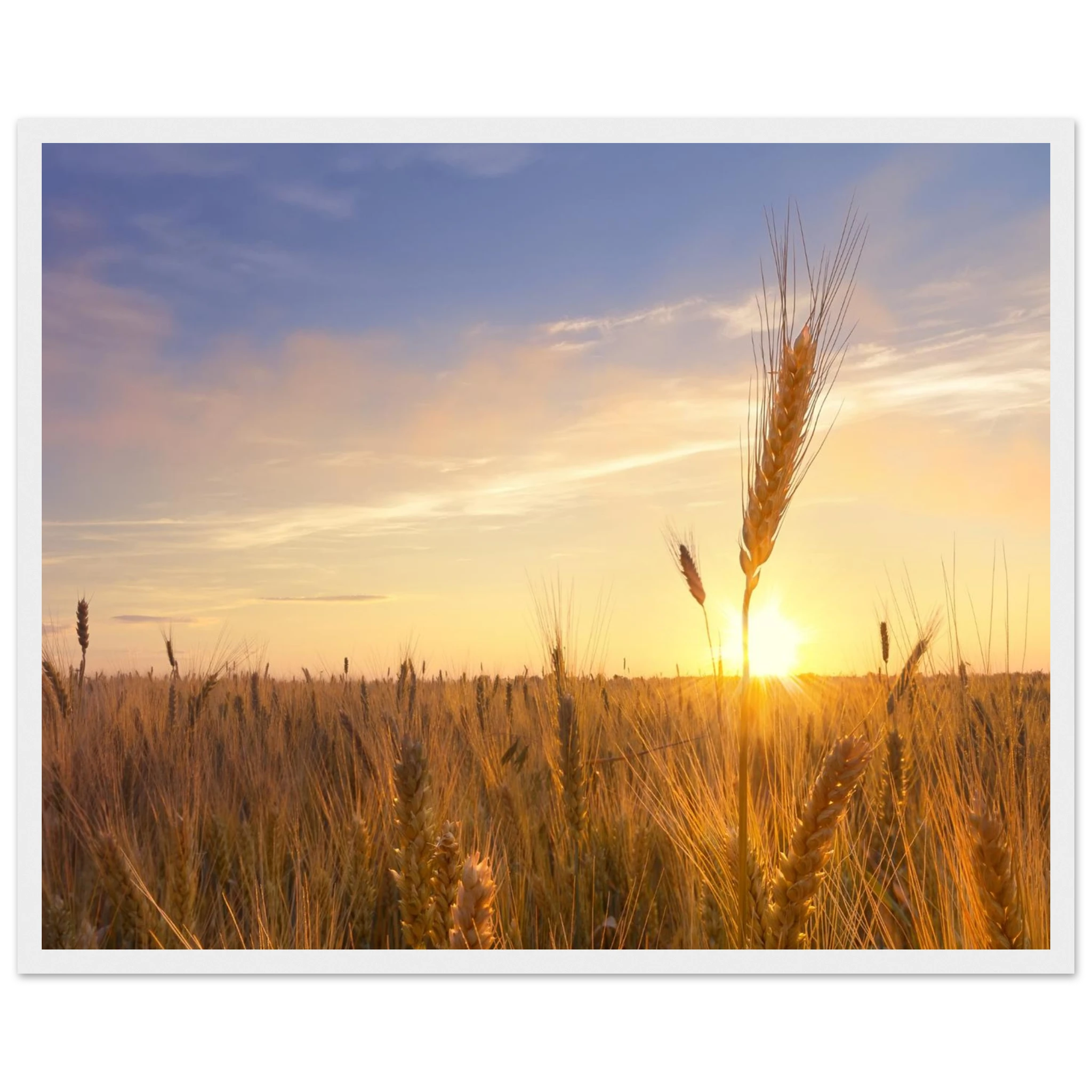 8347a733-e248-4b6c-82e0-4fbfe2ab6000