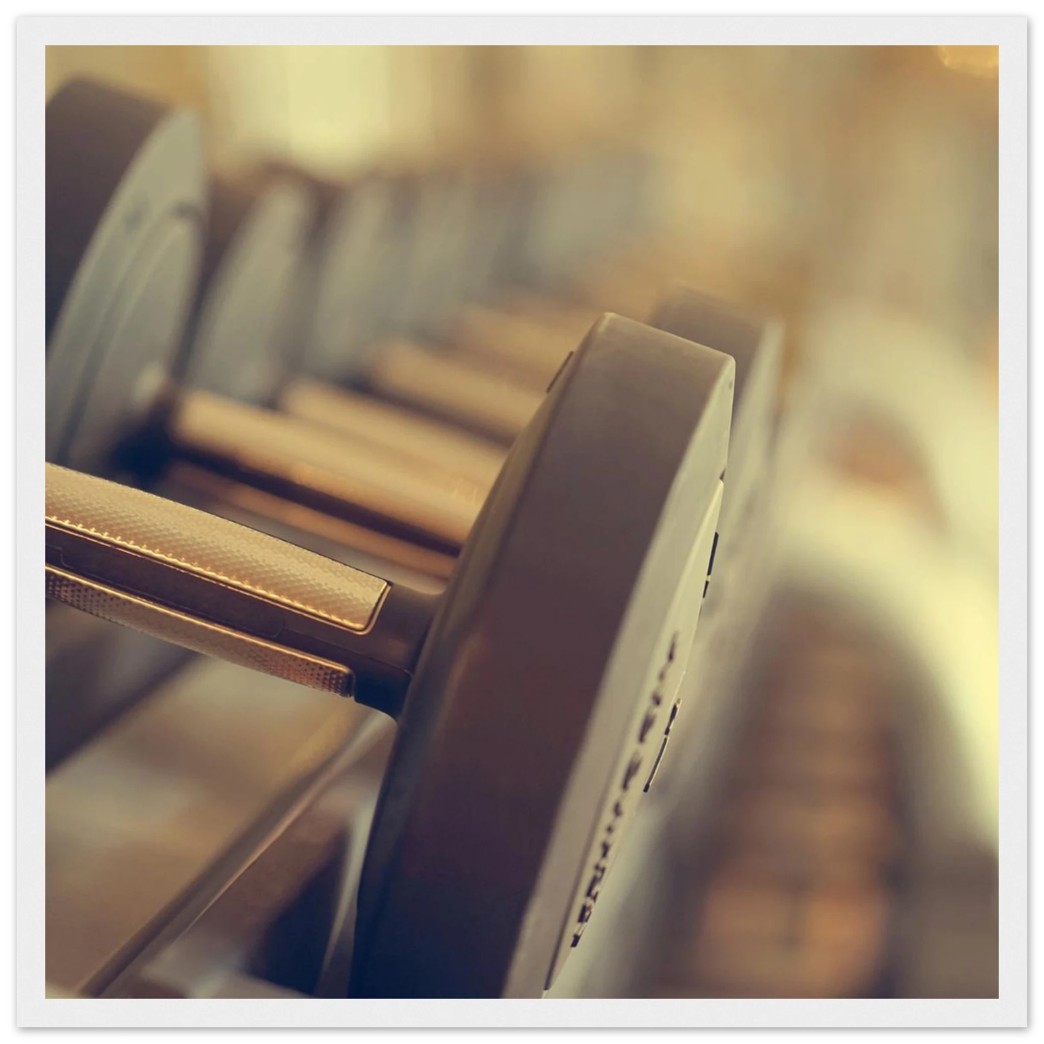 8361d858-cede-4847-b665-39310f80766e