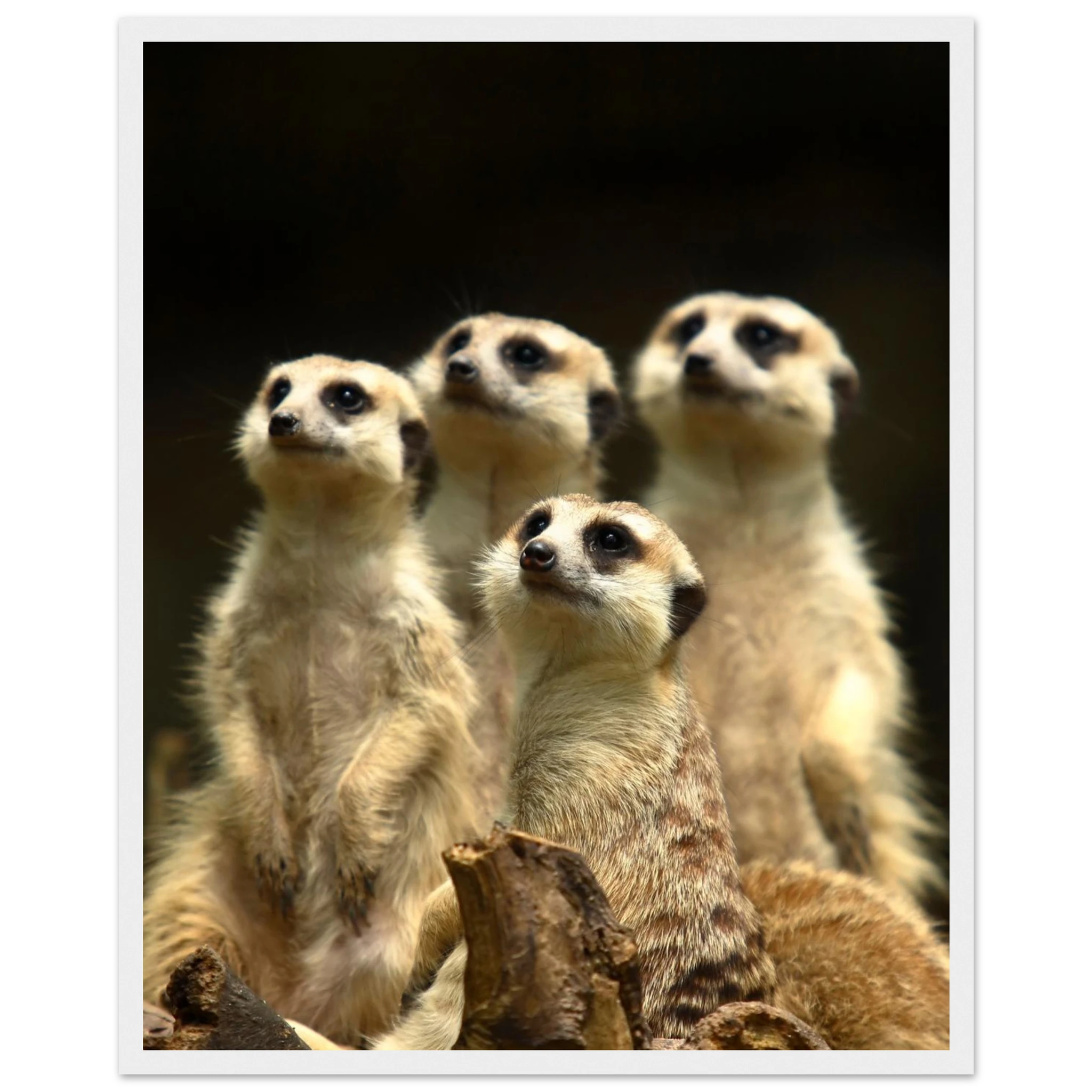 83728e2c-7be3-4103-9c19-a689377271d5