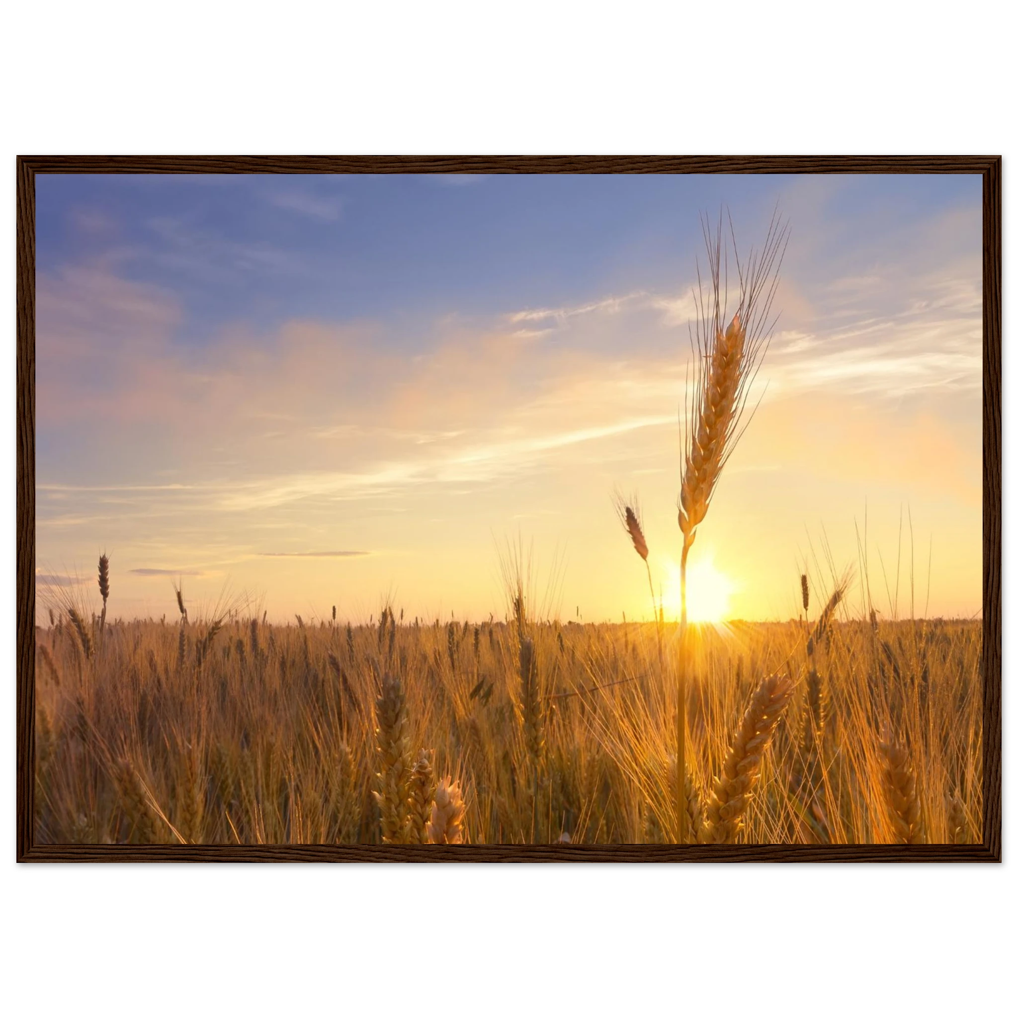 83aa5e62-9214-415f-afc4-25bc39bc6594