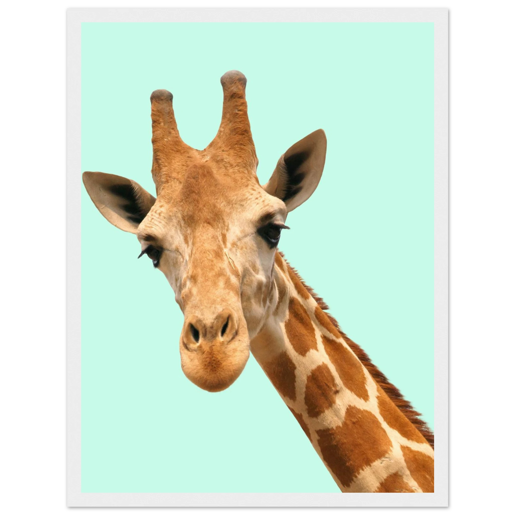 83aeac4c-89ab-43eb-bbba-579f98c39c88