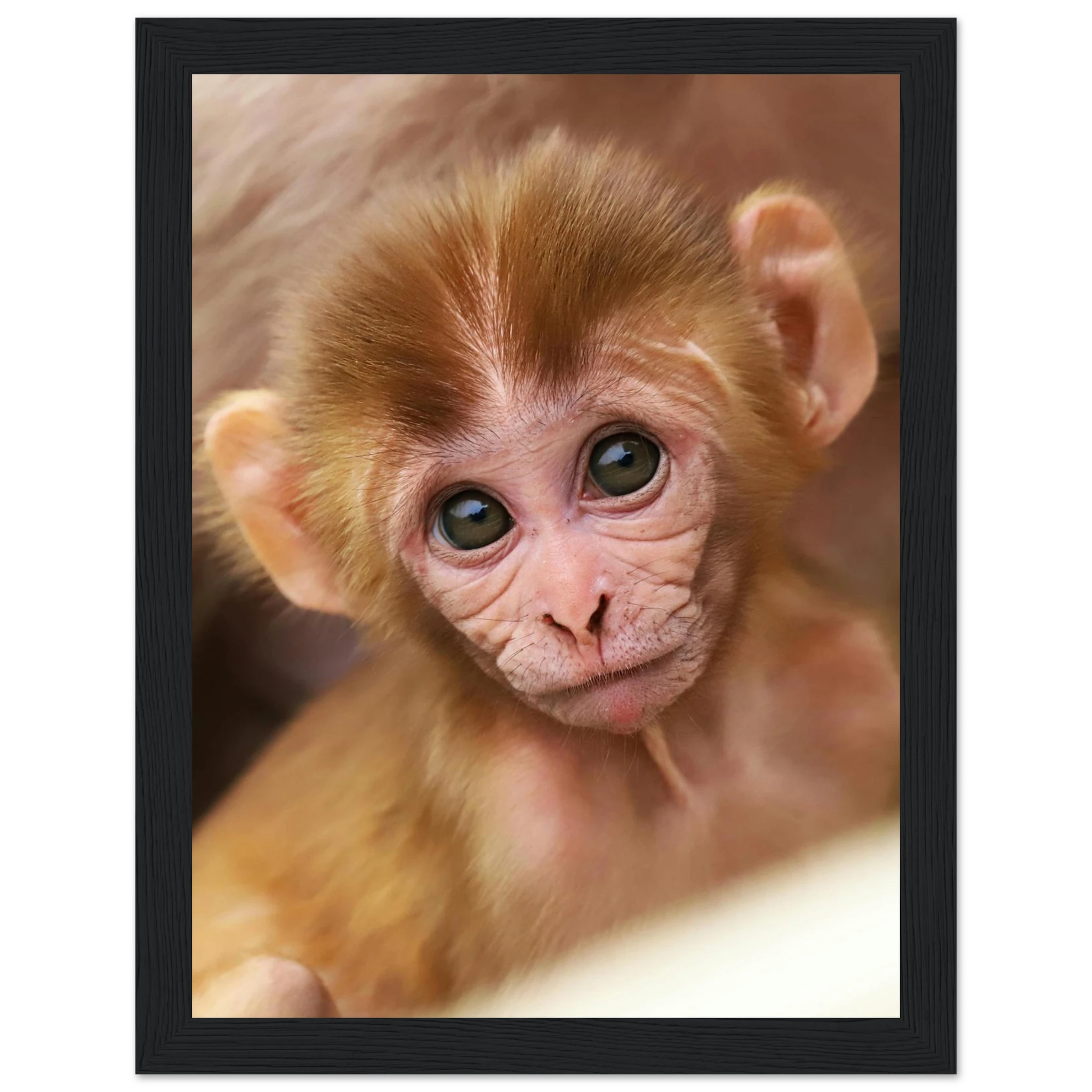 83e2f86d-4ca2-4703-bc06-4c1b03d89bcd