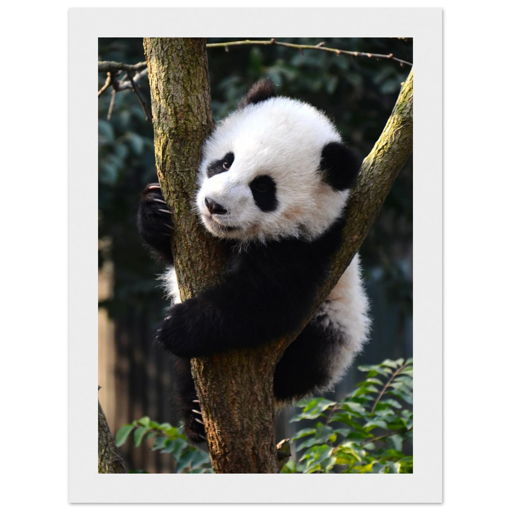 83e52f9a-f365-4bbe-9866-1347d61b0439