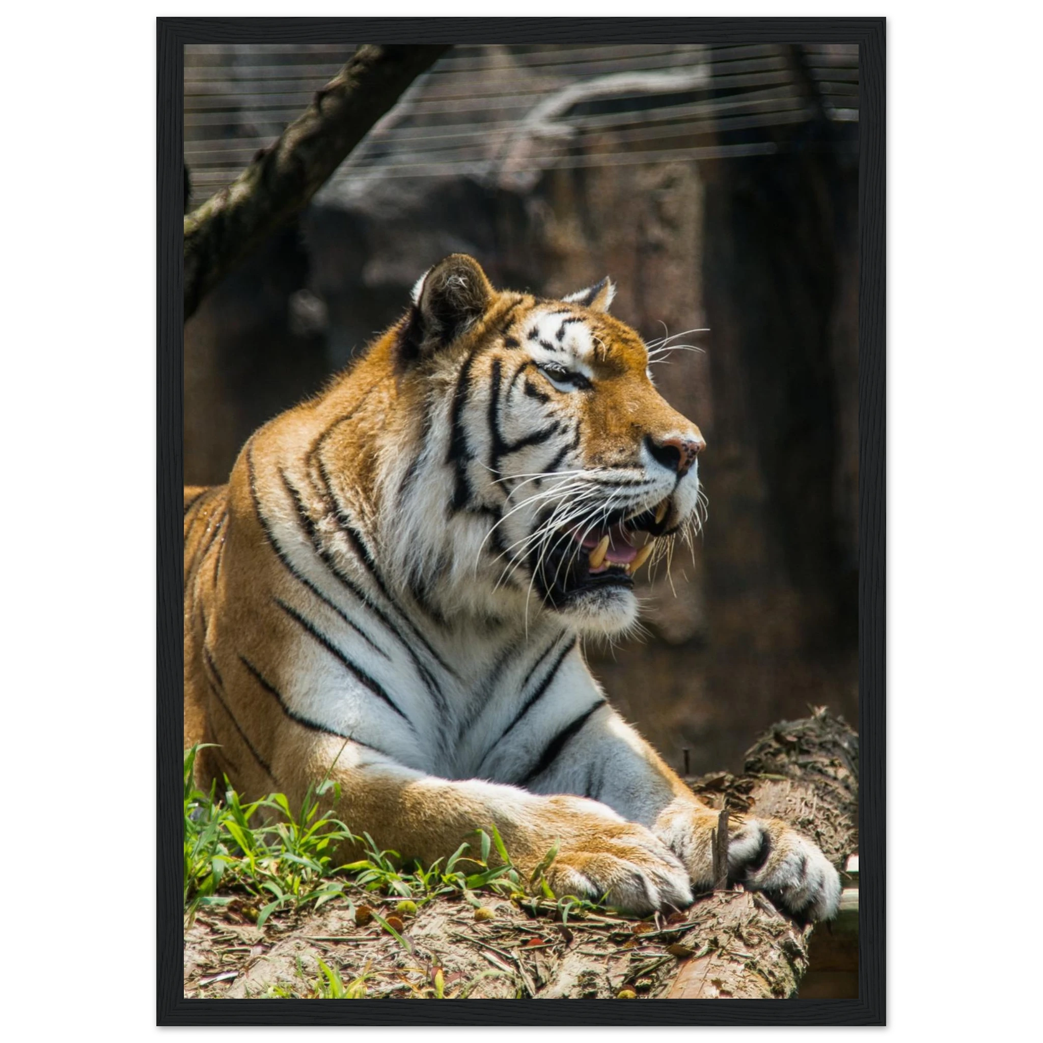 8422f3ea-36bf-4ee9-a34a-9bb6501a9849