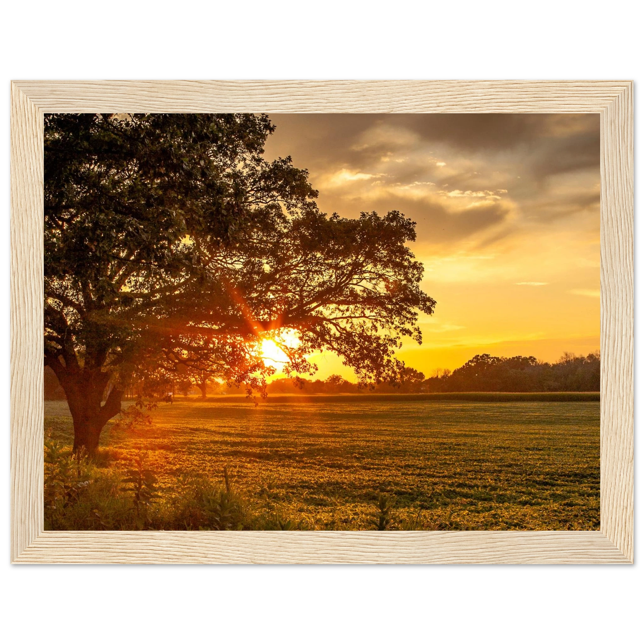 842705ee-a761-4d4a-a6f1-6c6137826a42