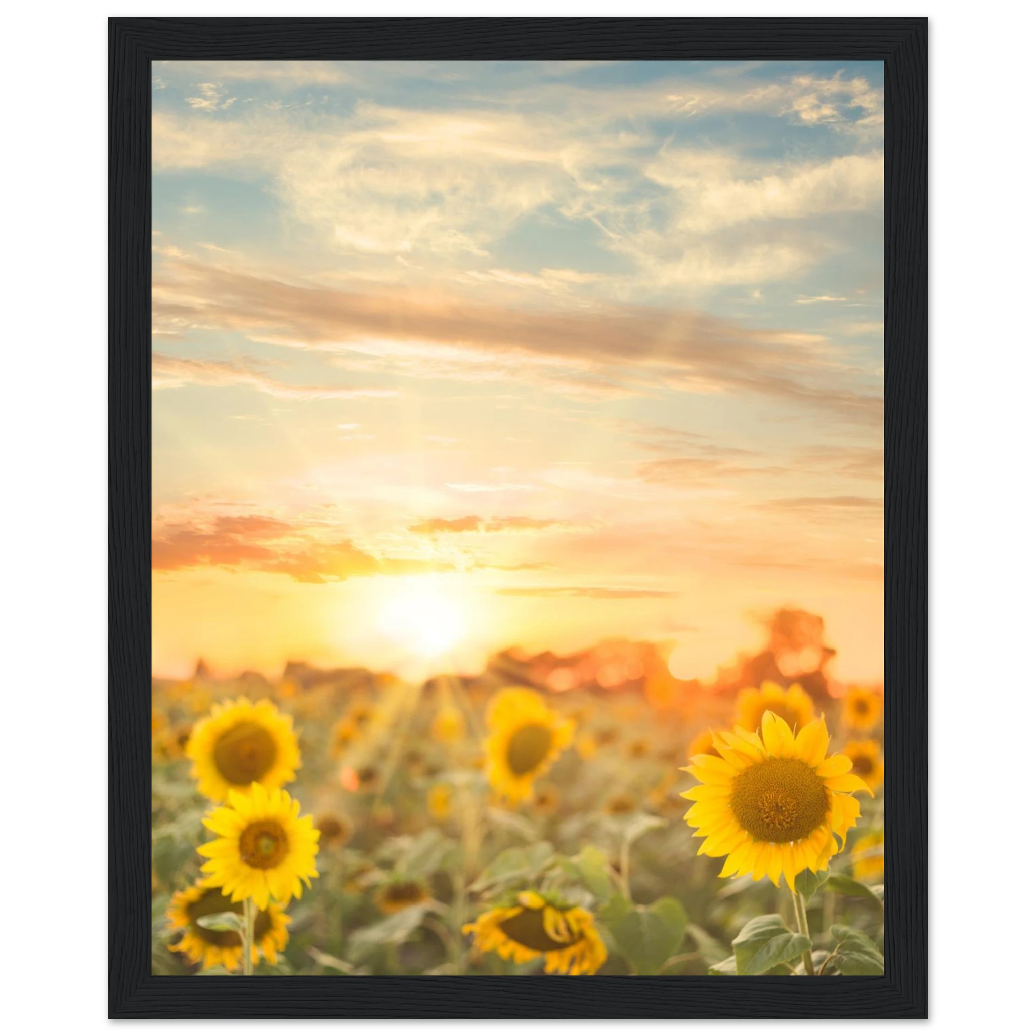 84318121-e429-4ec6-9fe6-9f6b6584ab55