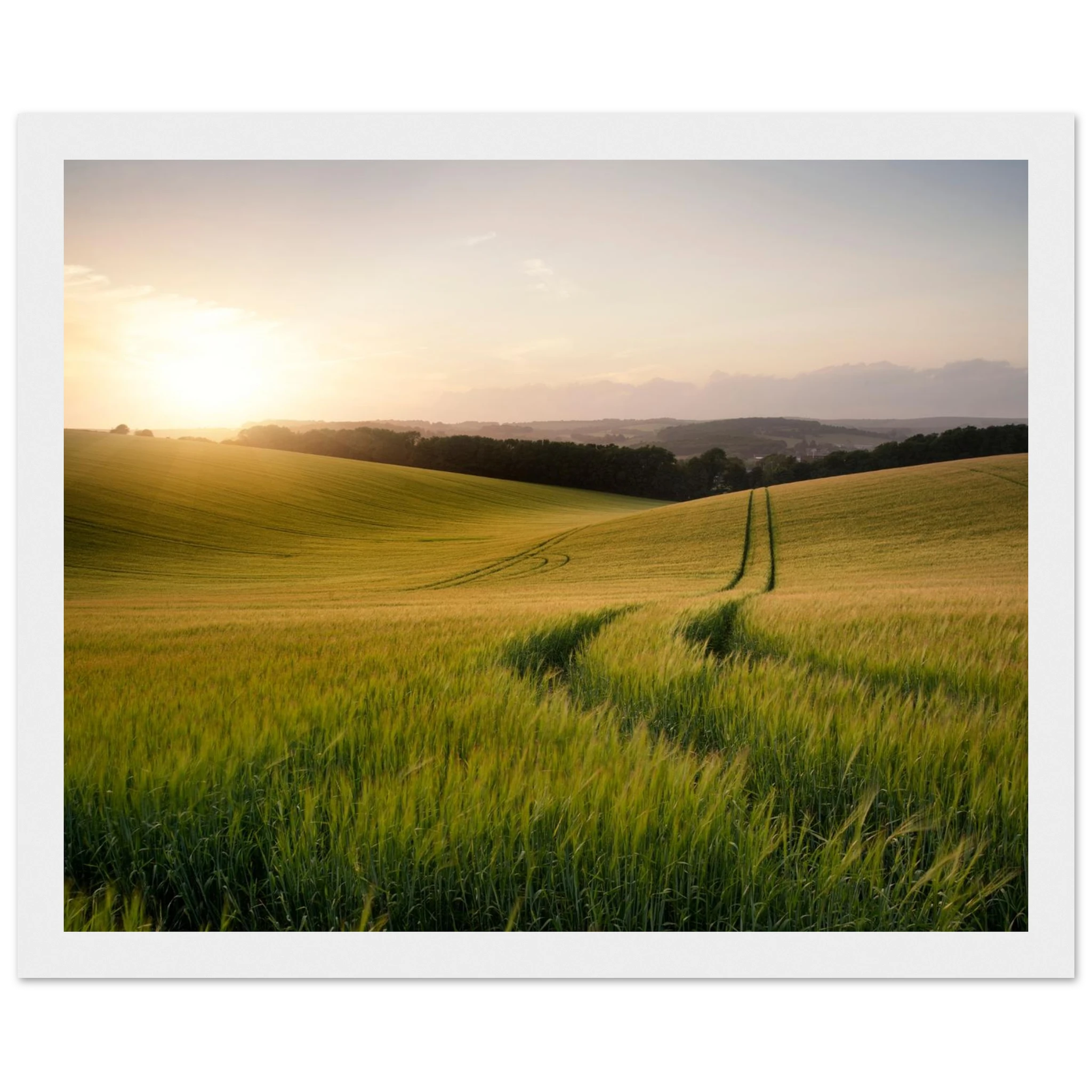 843d238f-8a62-40d6-9f3b-1fcff858315e