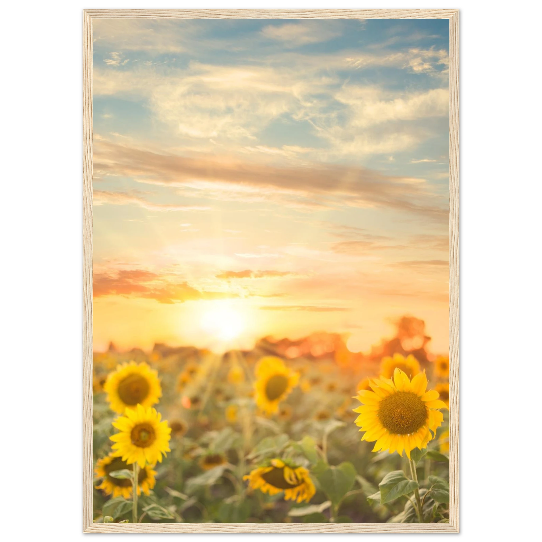 843fee54-0c14-4e36-b0b6-72655251cf2c