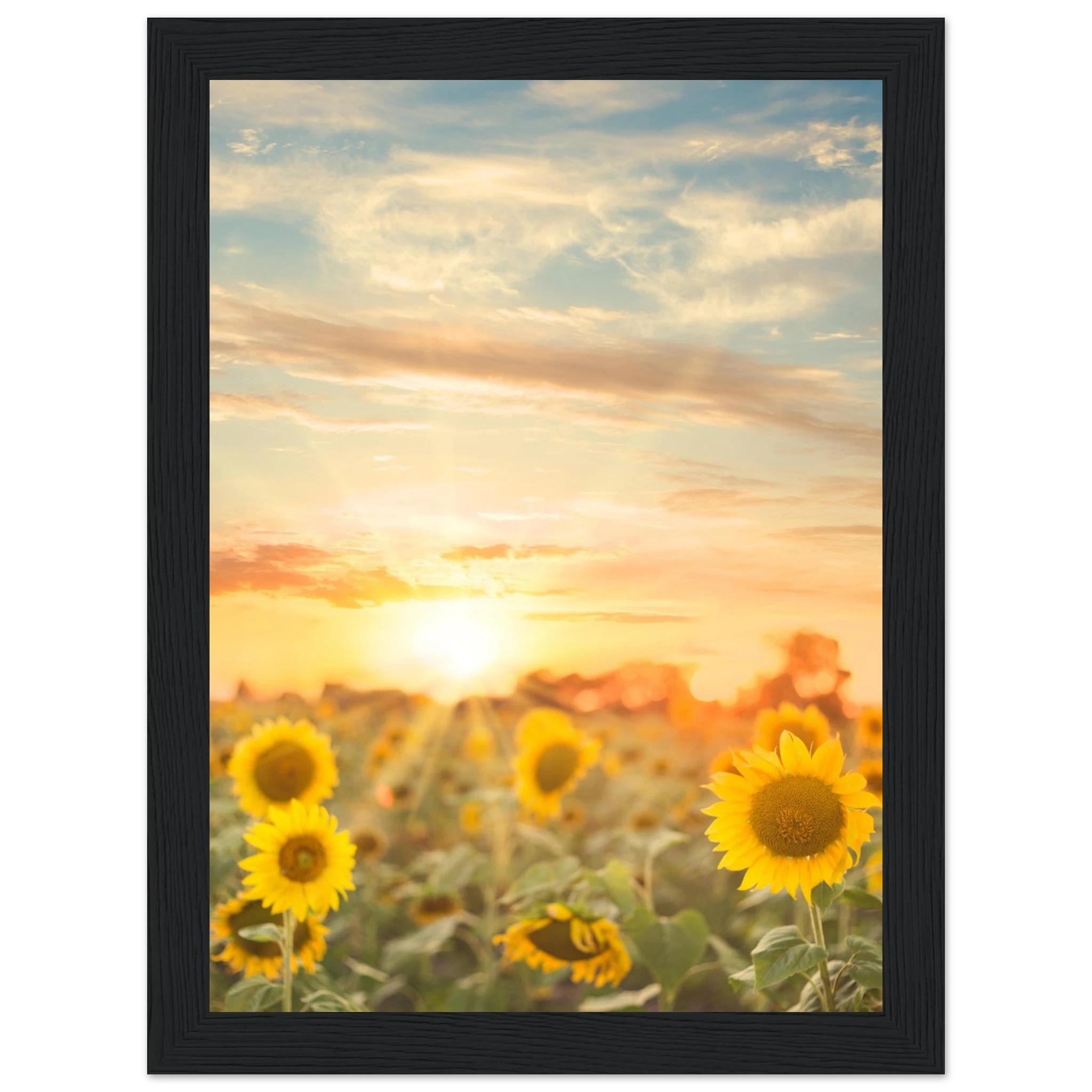 8449b265-0ded-4ee1-ab2c-2c5e6c43b4ce