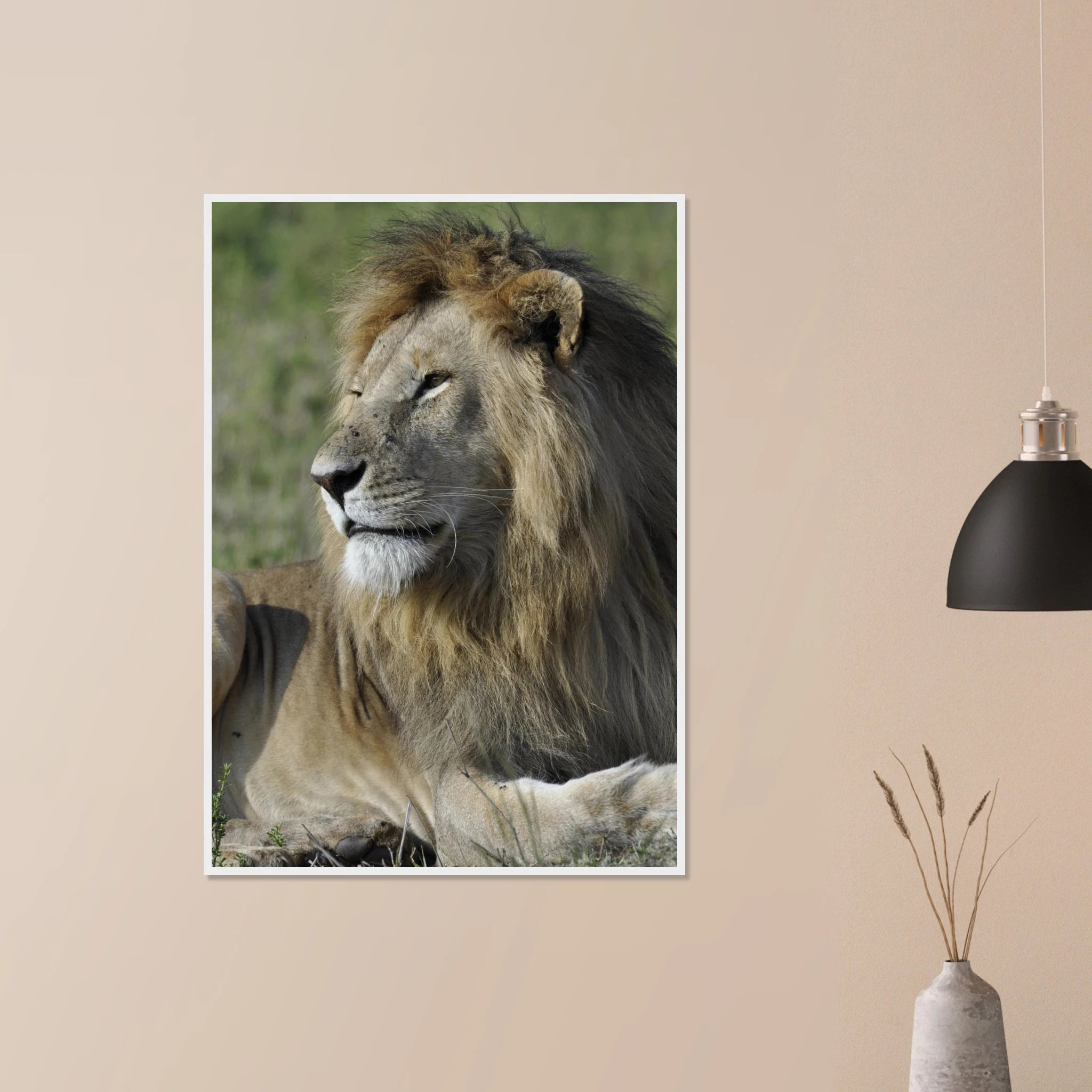 8452e331-0479-473a-9f90-0a86eee7e4f7