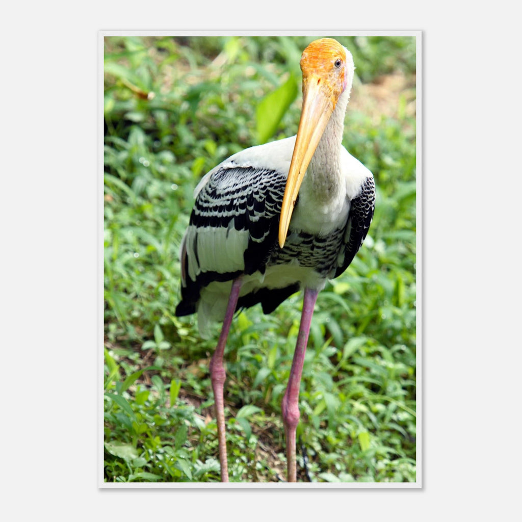 84695147-d1ba-4704-9aee-2c8049f60576