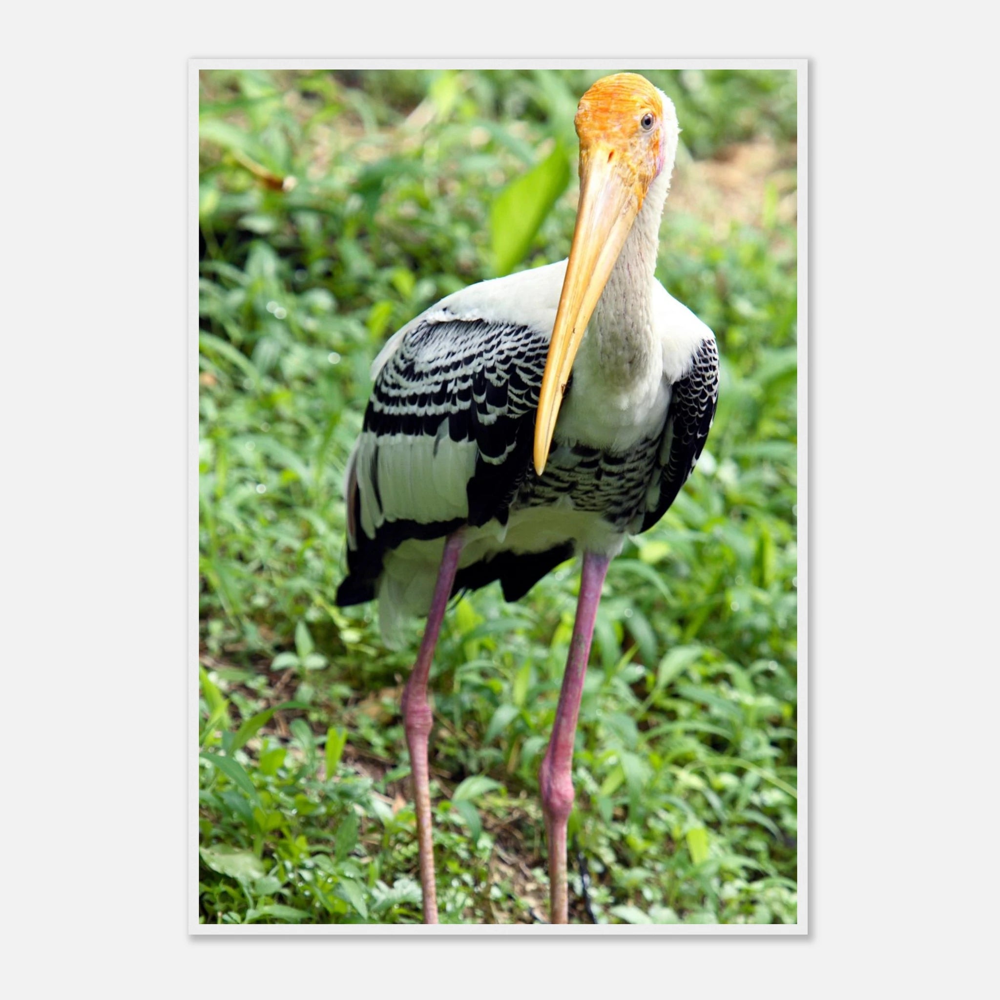 84695147-d1ba-4704-9aee-2c8049f60576