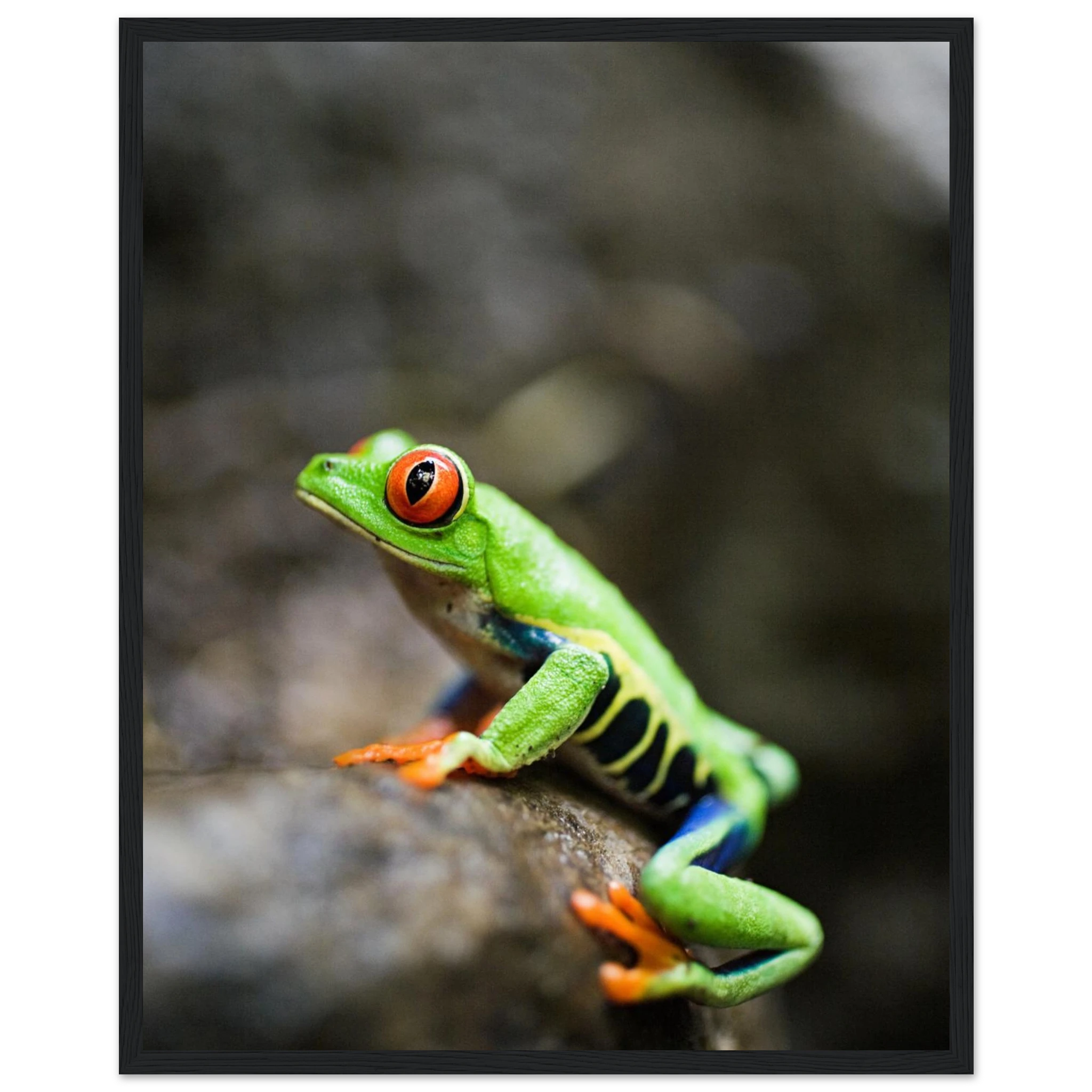 84698ac8-fa2b-47be-86c7-3e9844b25b1a