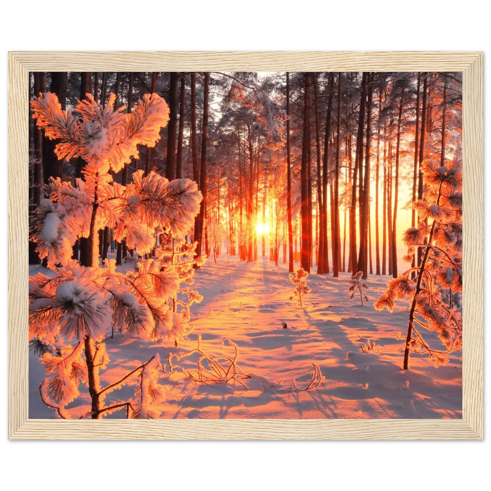 847d2105-3838-4385-a5e7-9a8bcc83012c