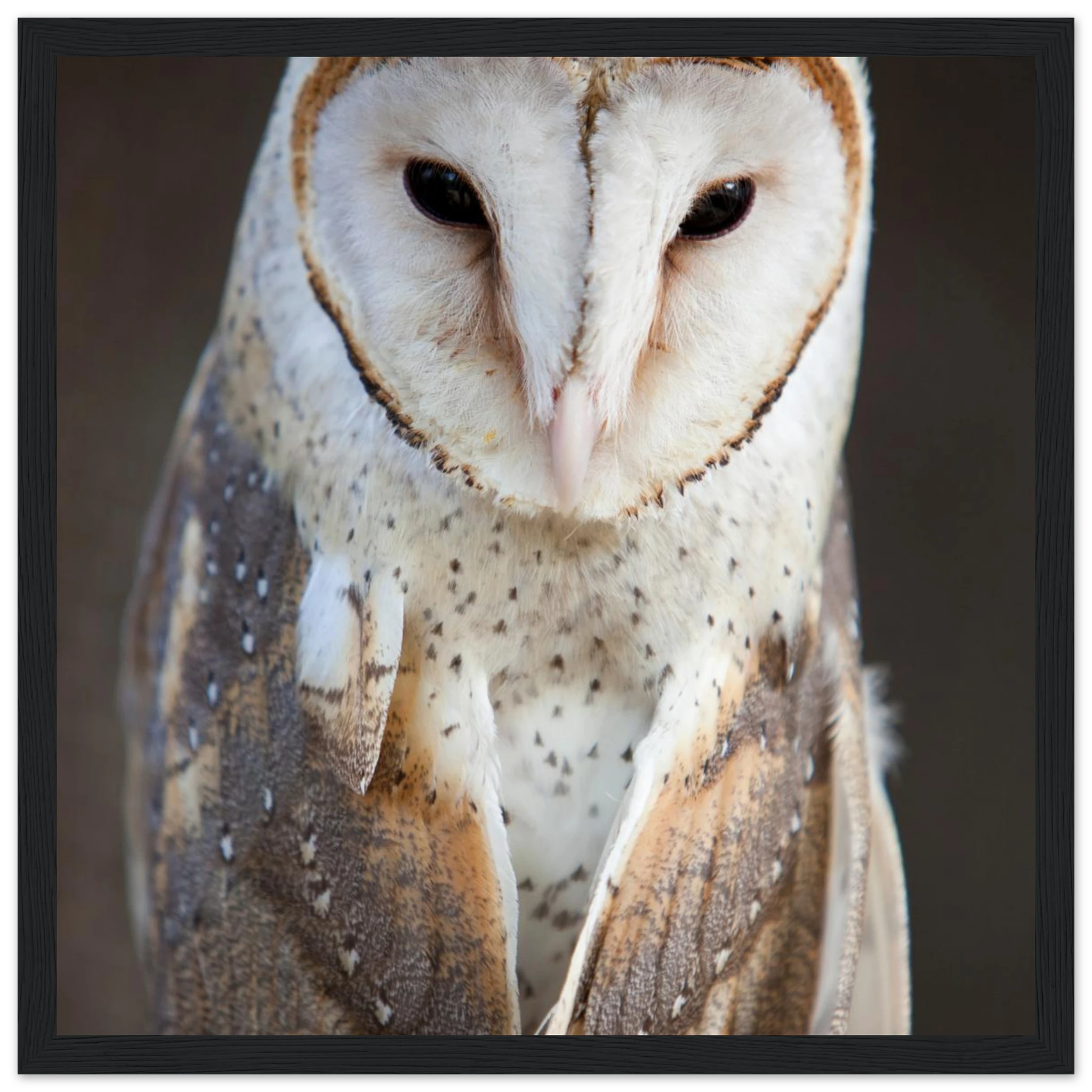 848c2190-251e-418e-8630-1b33517f2de5