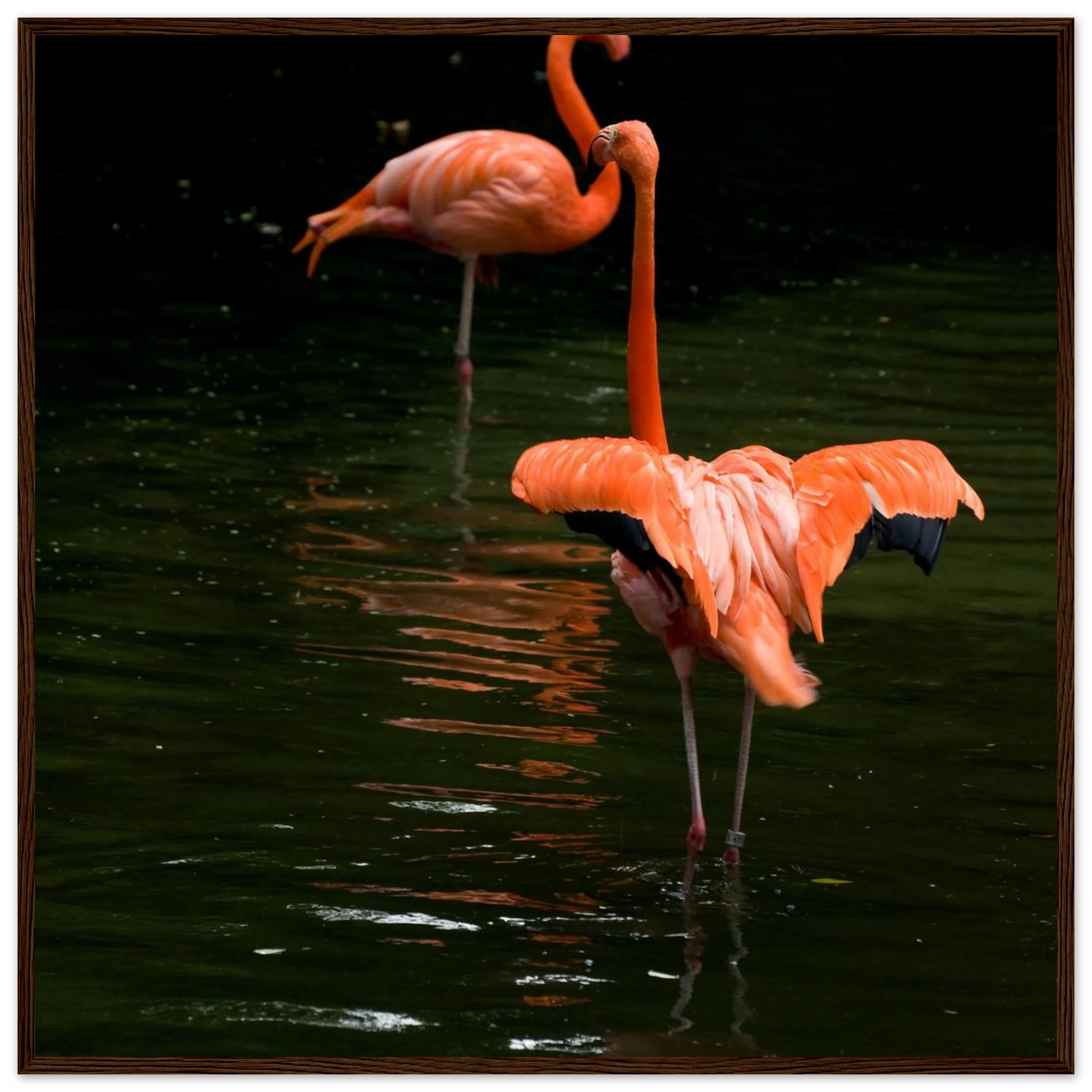 84af15ec-1e23-4f4b-b7e6-9ebca3094bca