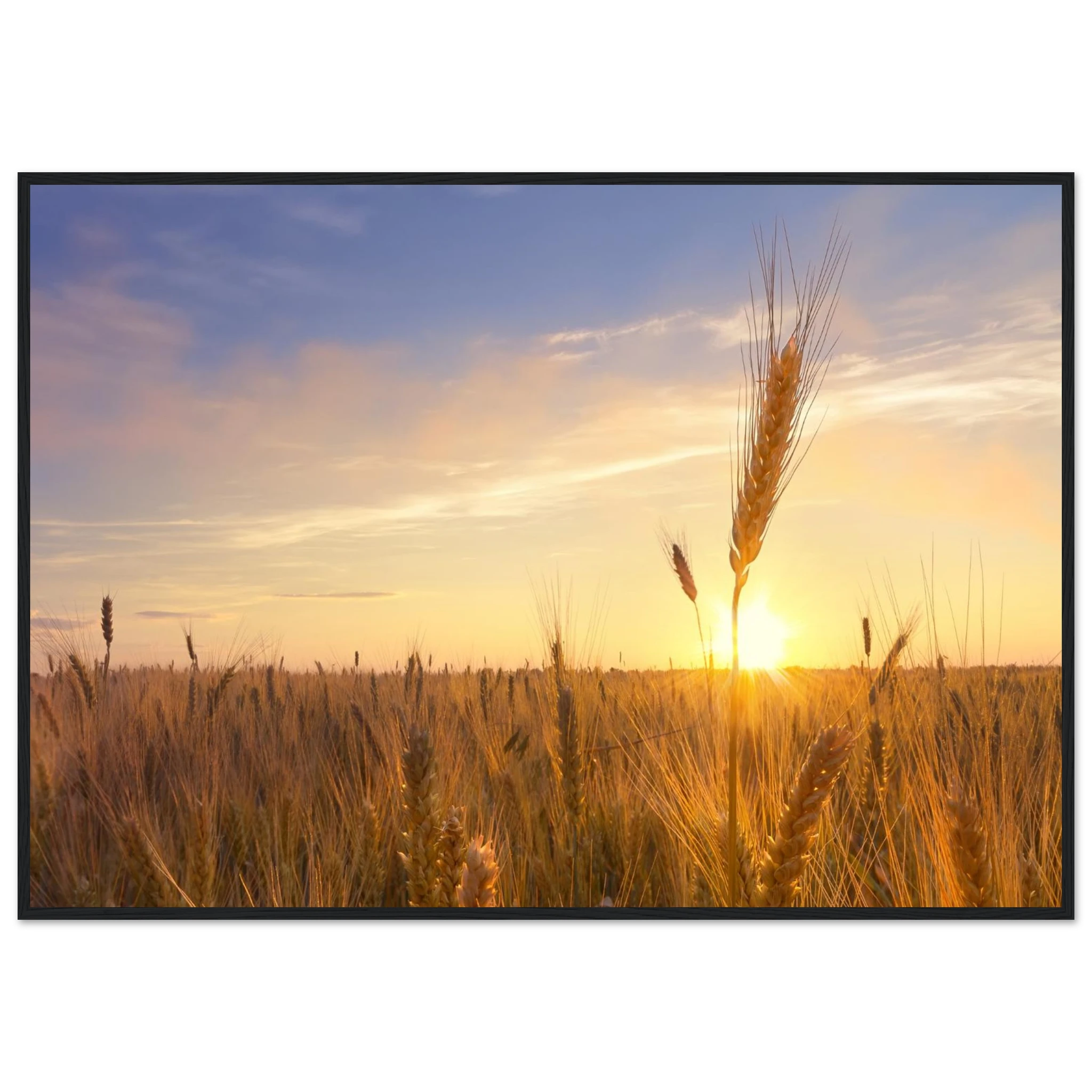 84dbe3cf-c00a-44ec-abee-a6cf08b71710