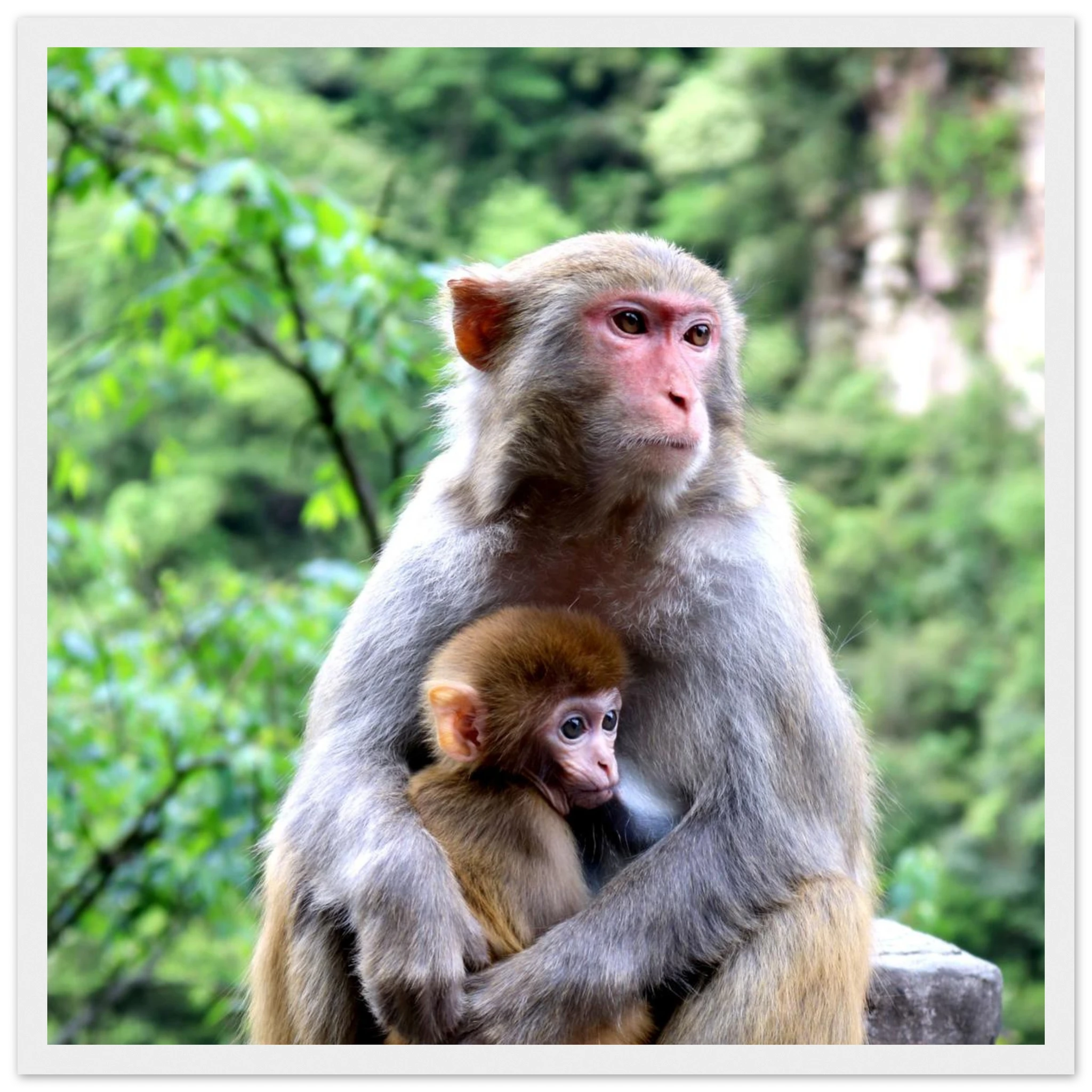 8508f083-4289-4e81-97b5-41a8da16b710