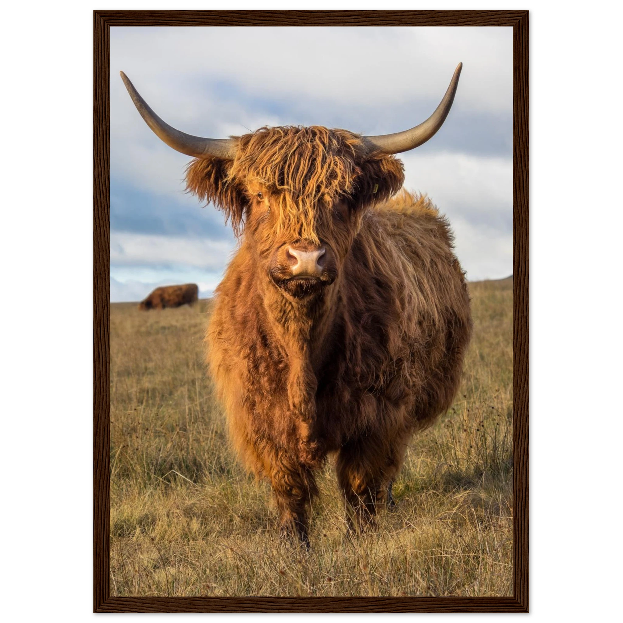 8512988b-c57c-457f-8f54-4e5bdedca9ec