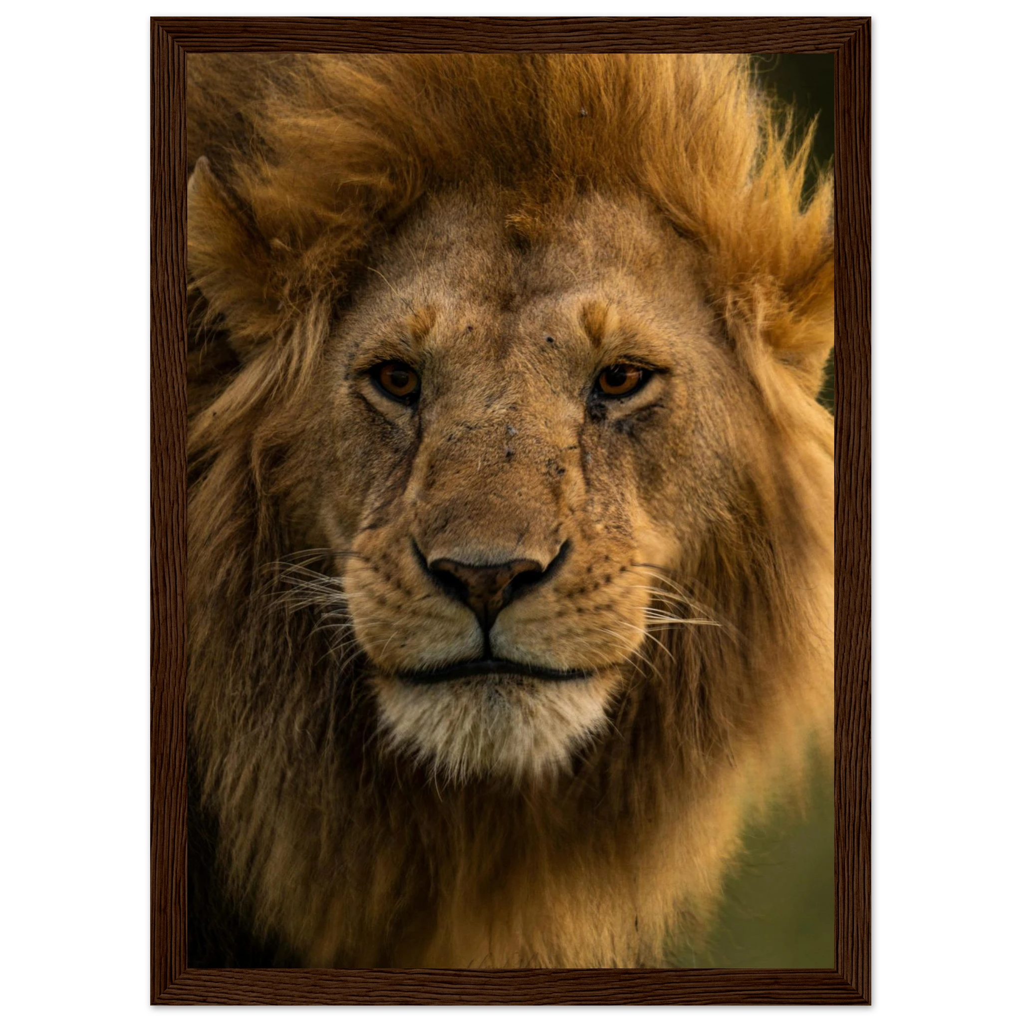 8524d108-ba9b-4c8a-809f-099c310e0cca