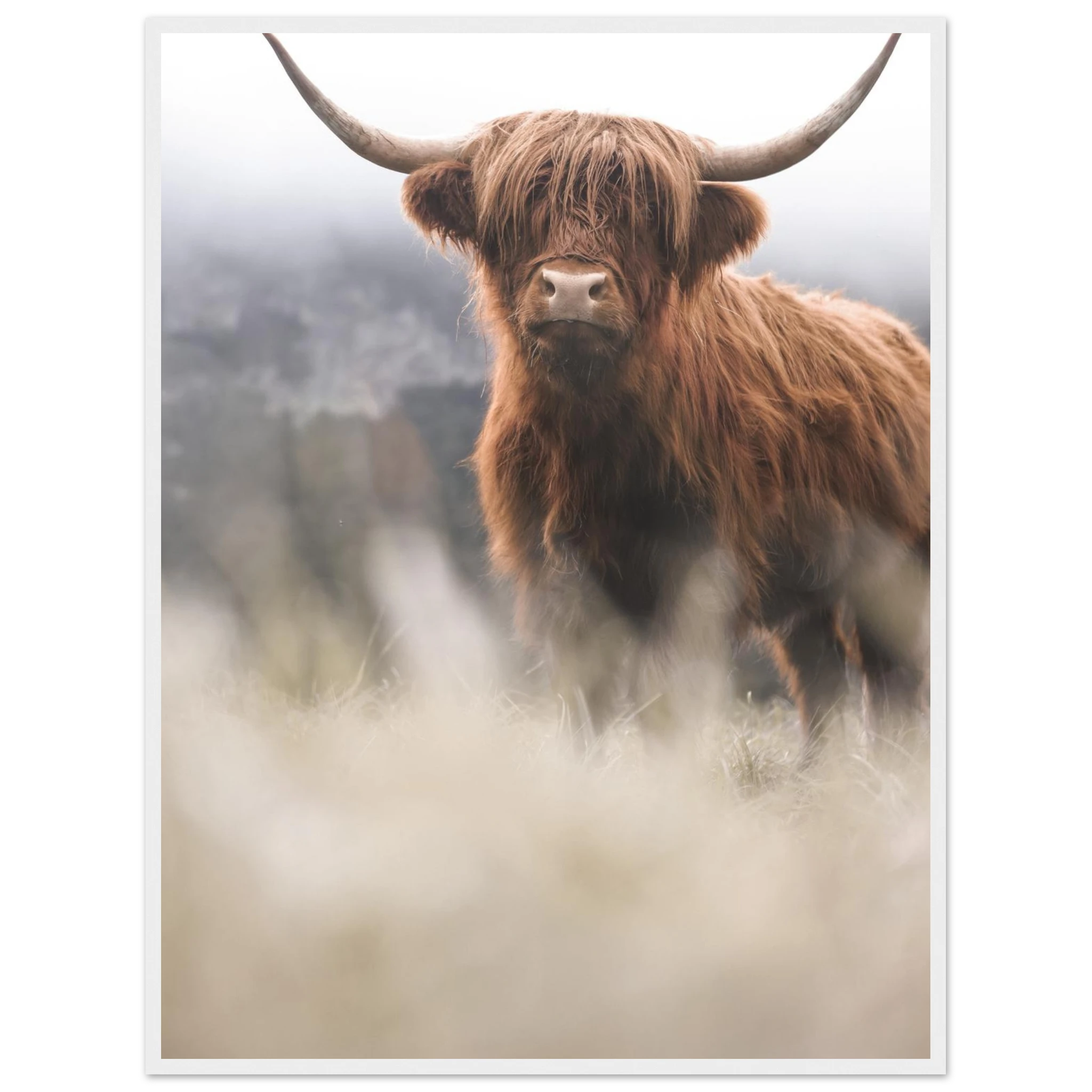 857ed0d4-1c63-4a5a-bfa1-57c60b62fd95