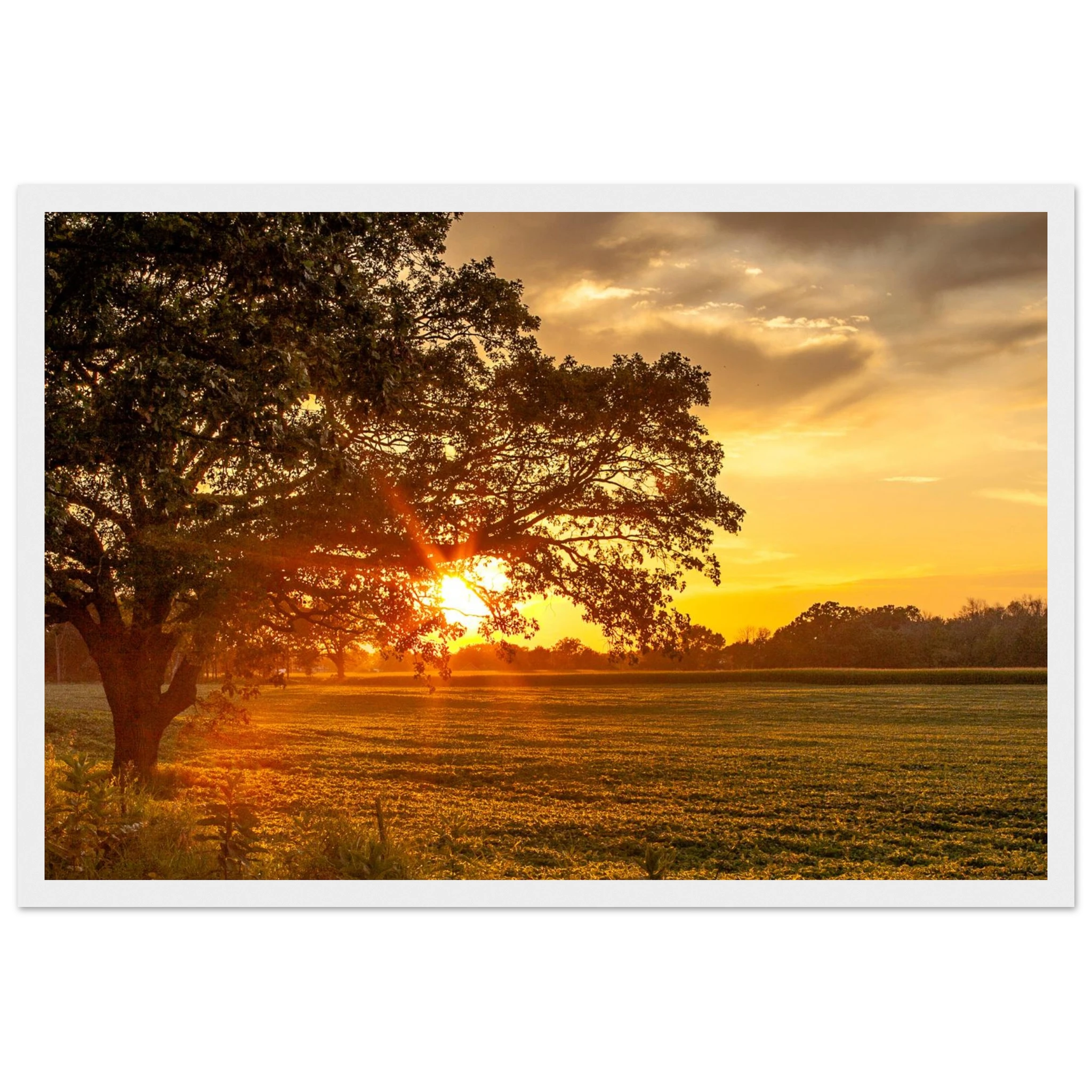 859ca189-c155-44af-8981-8a894fc90d88