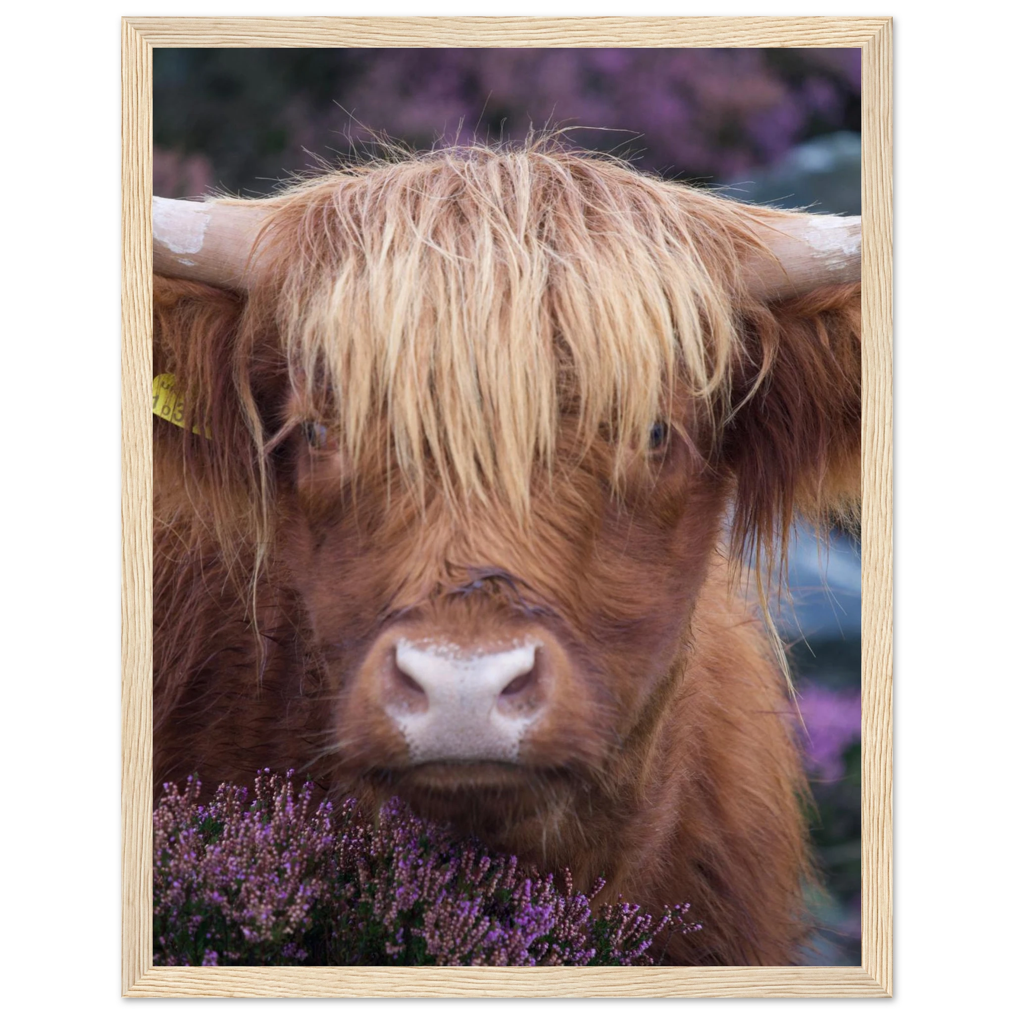 85a20a88-cee8-4162-8fe9-1e903cbb3ccc