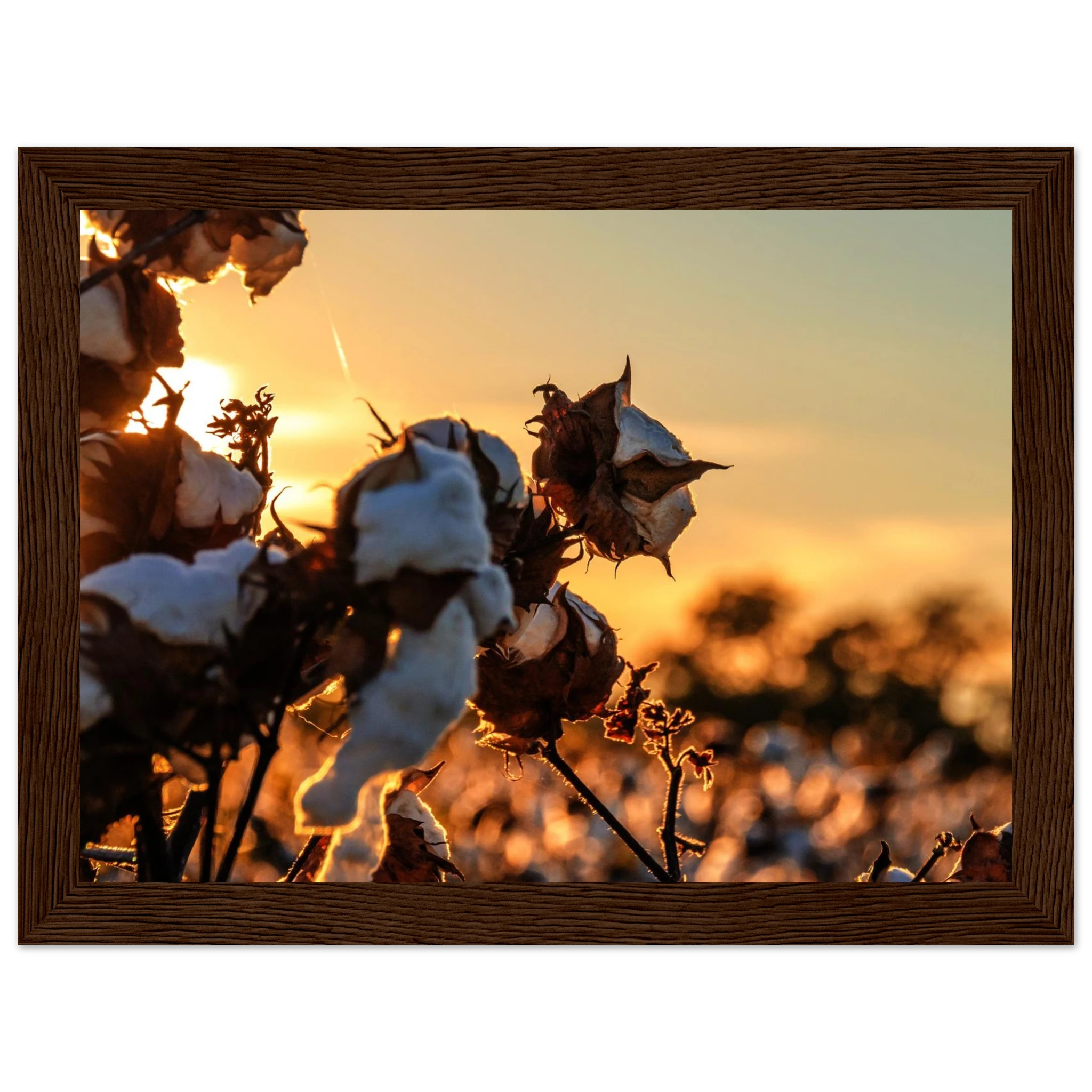 85a7146a-7c00-444d-ab32-ad6479c6c214