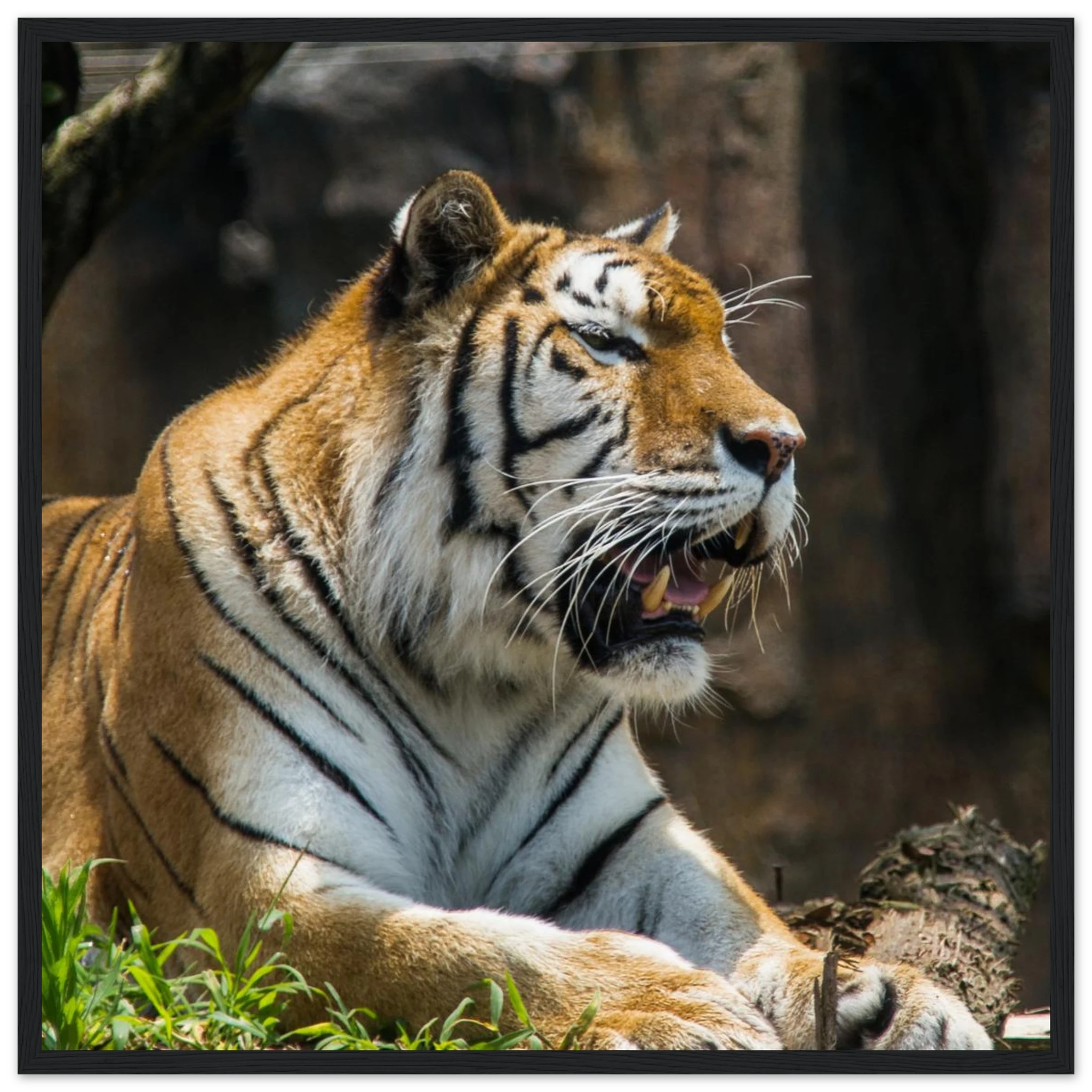 86034724-bd27-42a8-b13a-e35c4e1bf97b