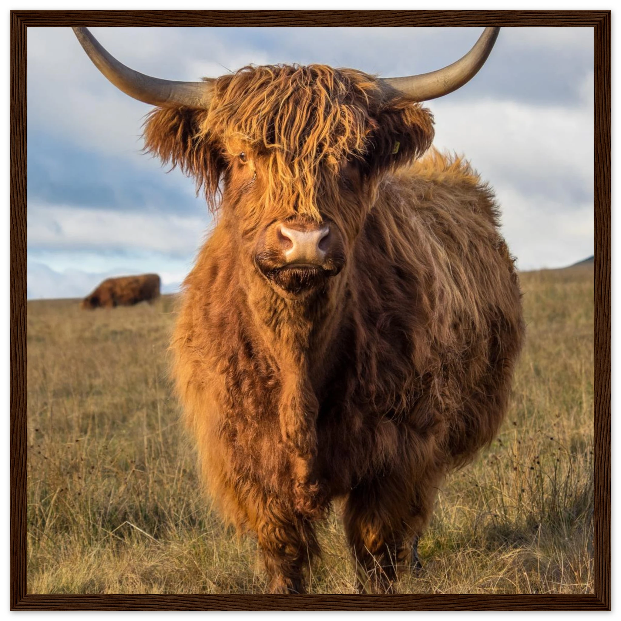 8603de11-a794-4b4a-9dfc-ef0b0729ade9