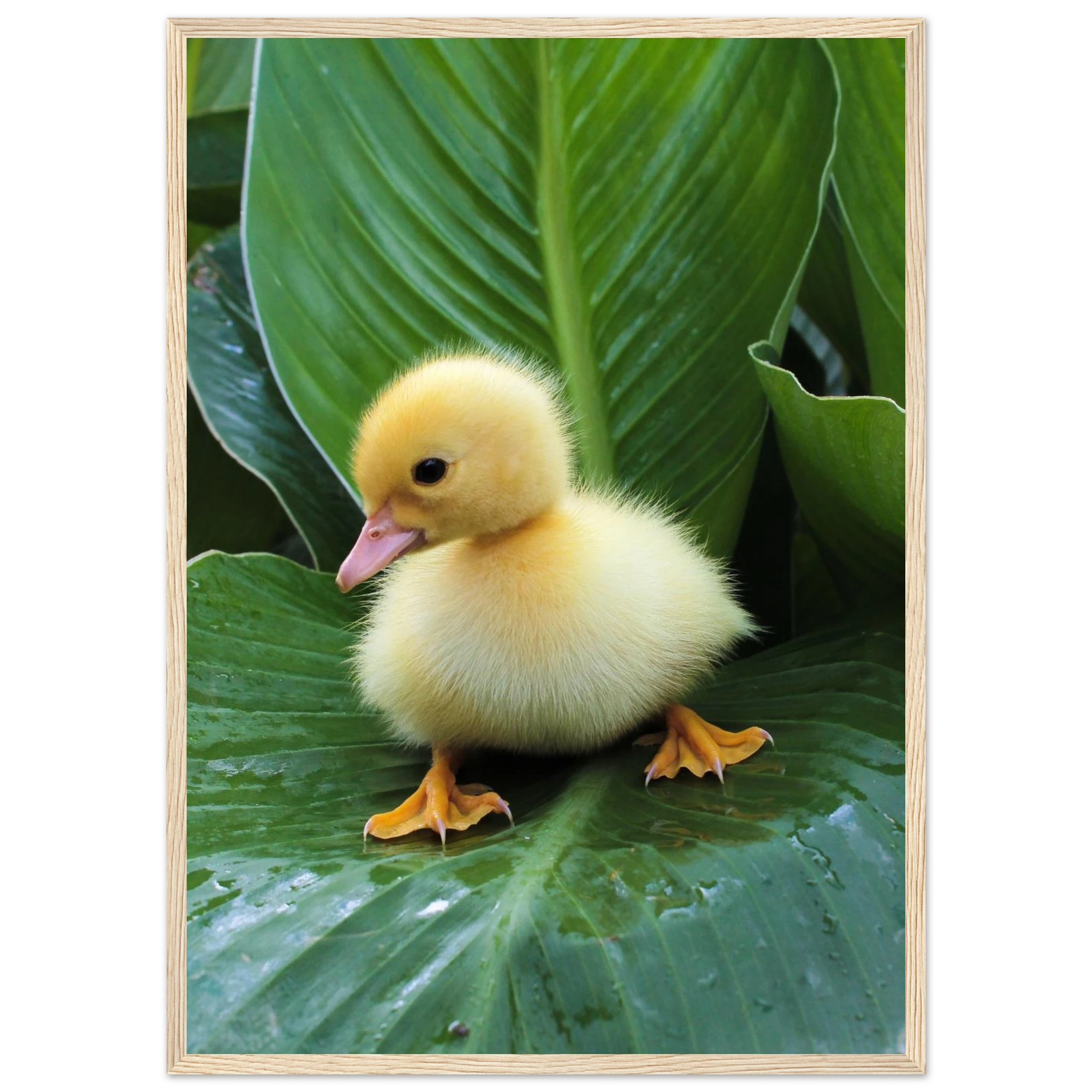 865966e3-ac9e-4f7e-9906-552ecd34cd43