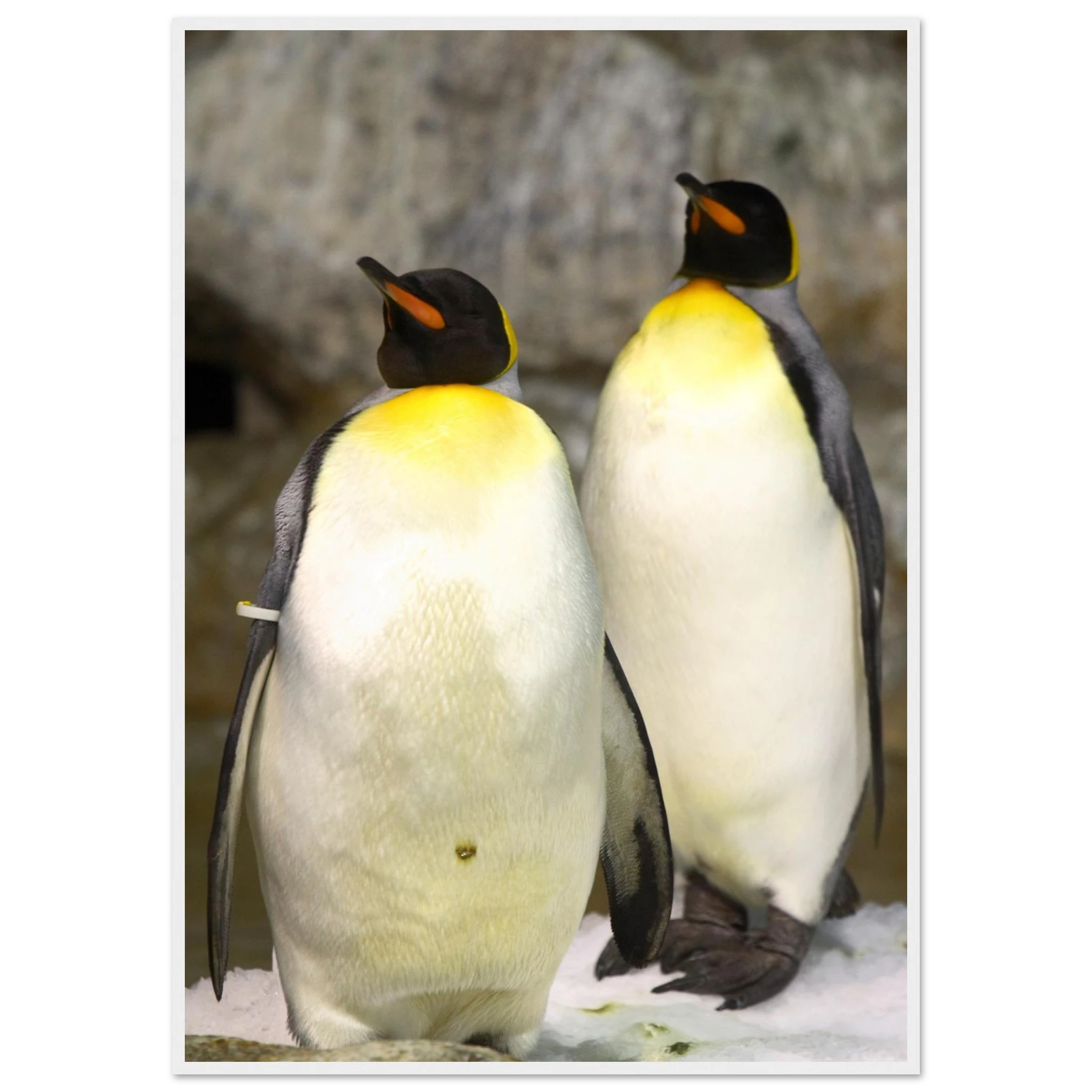 867a13e6-30c8-47de-a0d2-4d1c752c1942