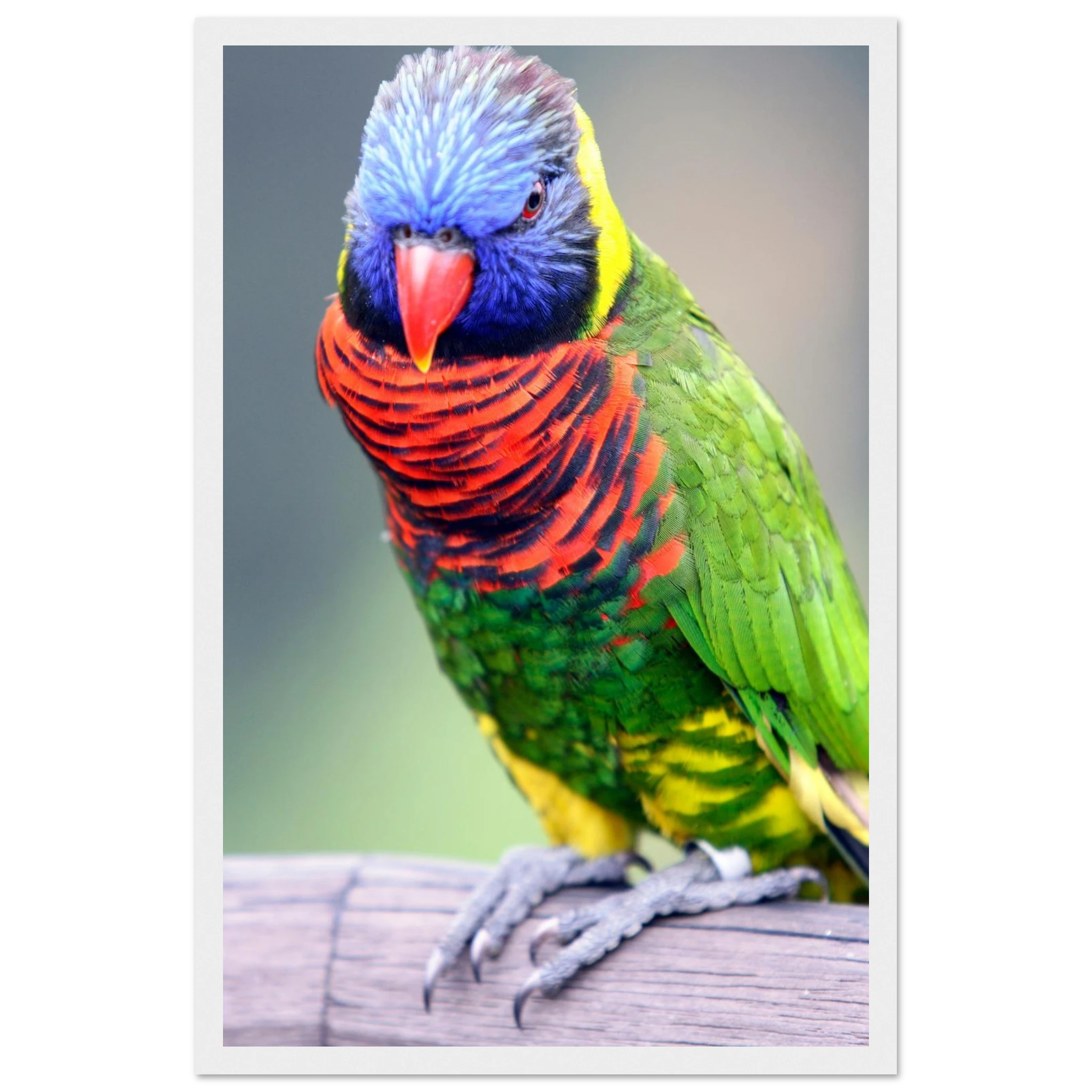 869a5280-b0bb-4c76-bd66-1f8dc3e59b60