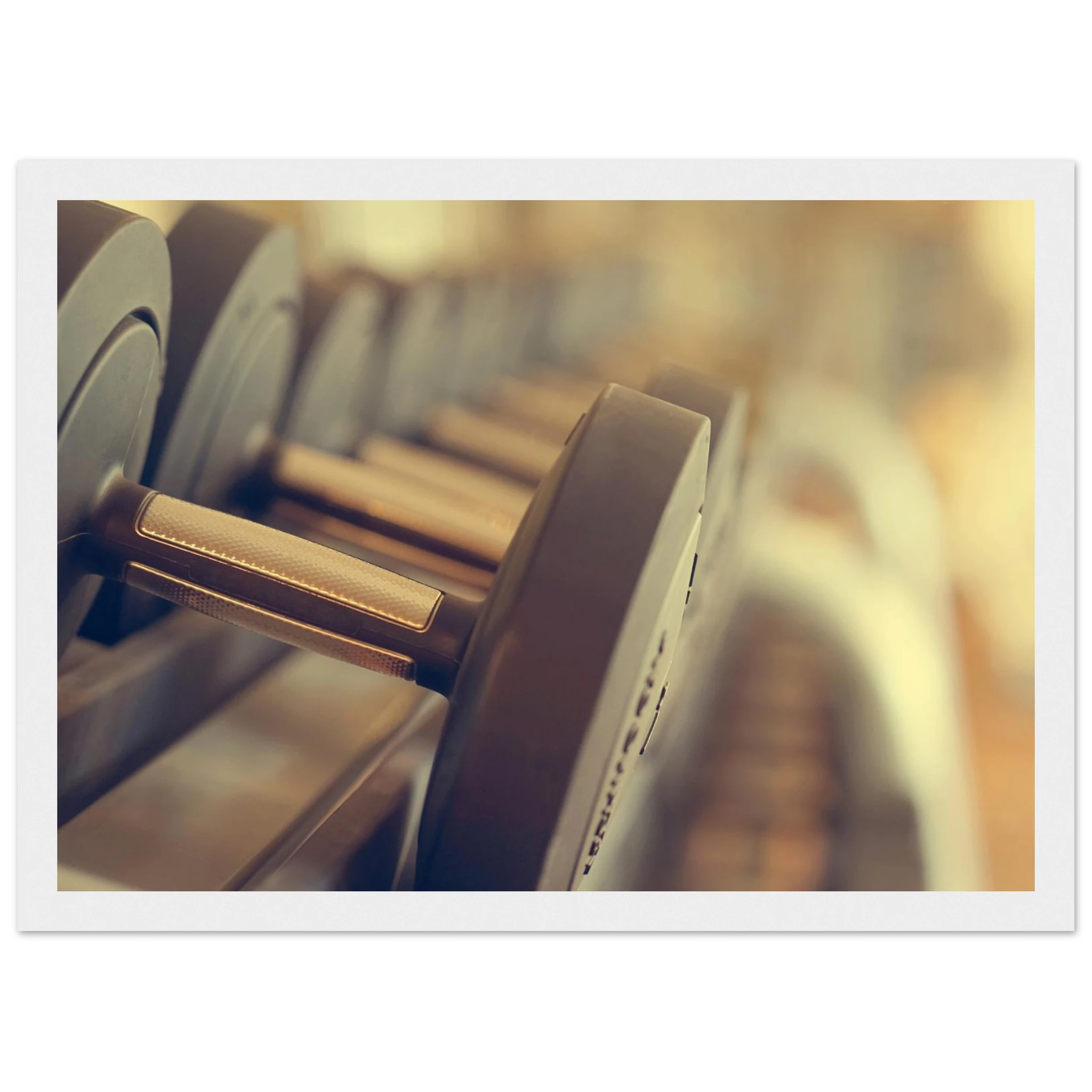 86d265f6-1c7e-4ba9-af86-80d230bc5aee