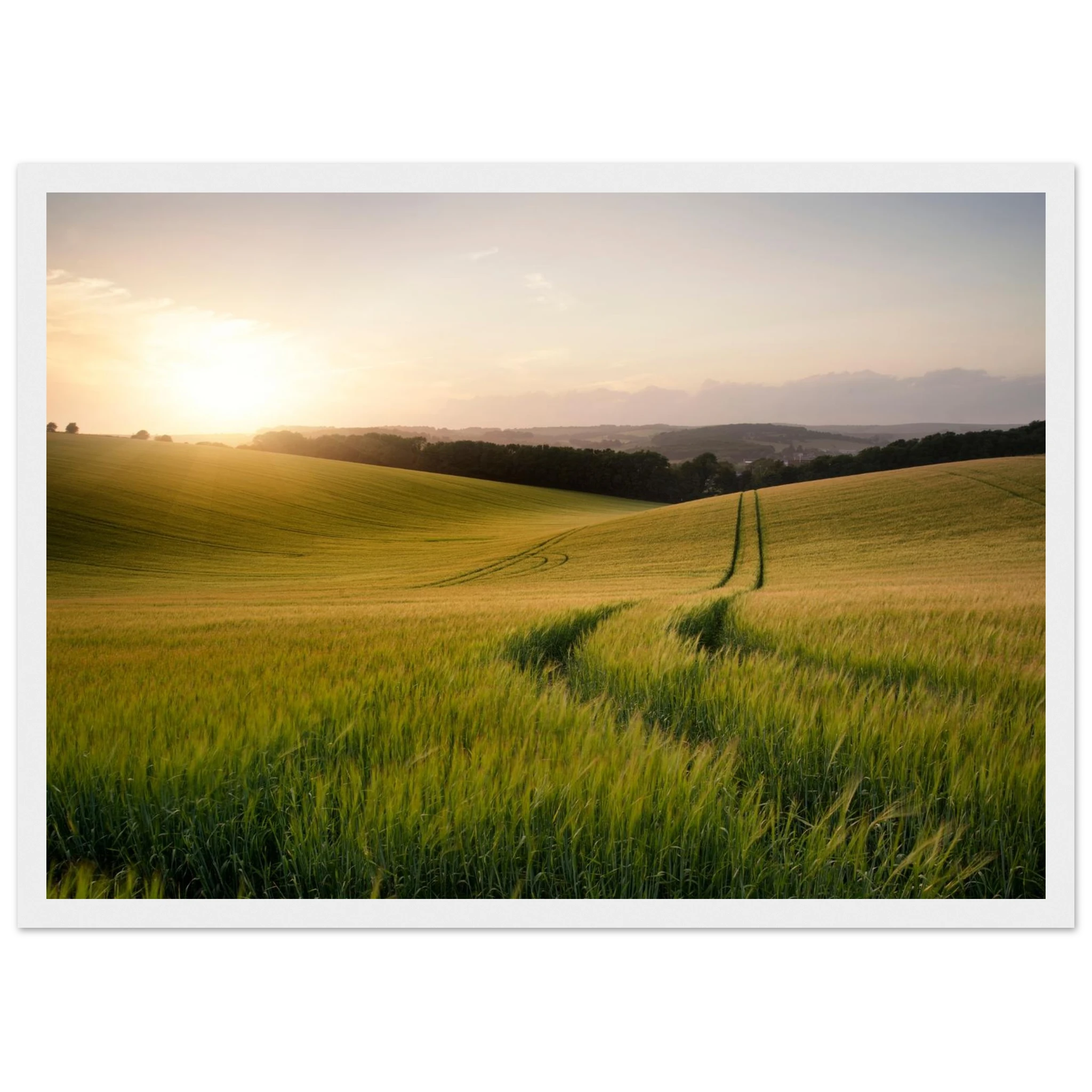 87114f77-4a7d-4cc8-af34-f7459ed0d80f