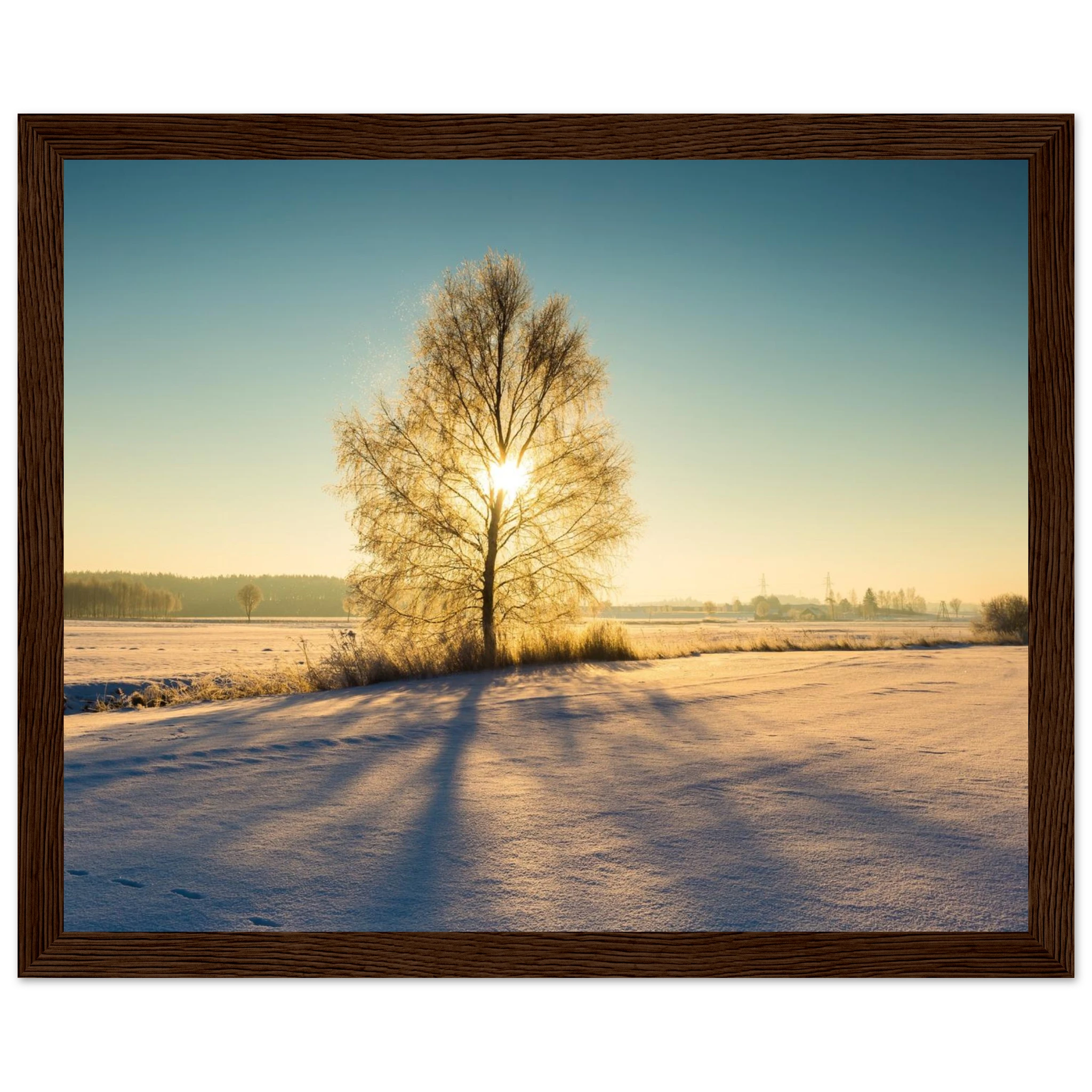 872c30c3-6113-4646-8987-8b972d03bcb4