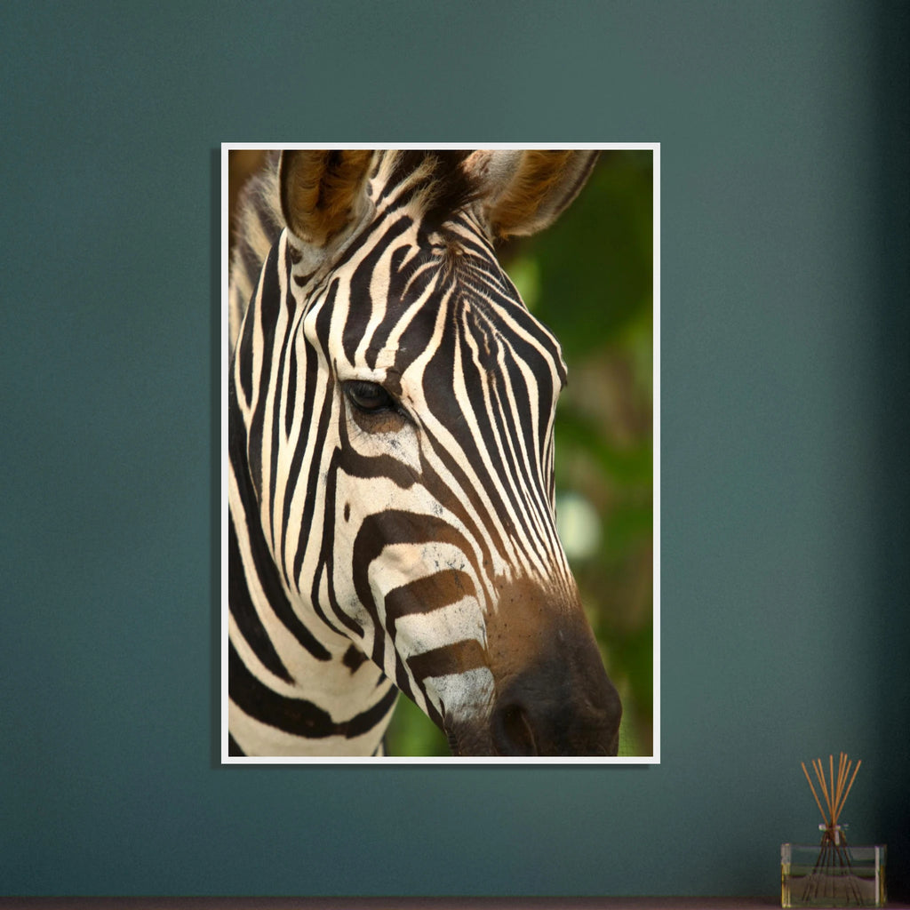 872fccd1-0e4c-485d-9c8e-4100c7c40118