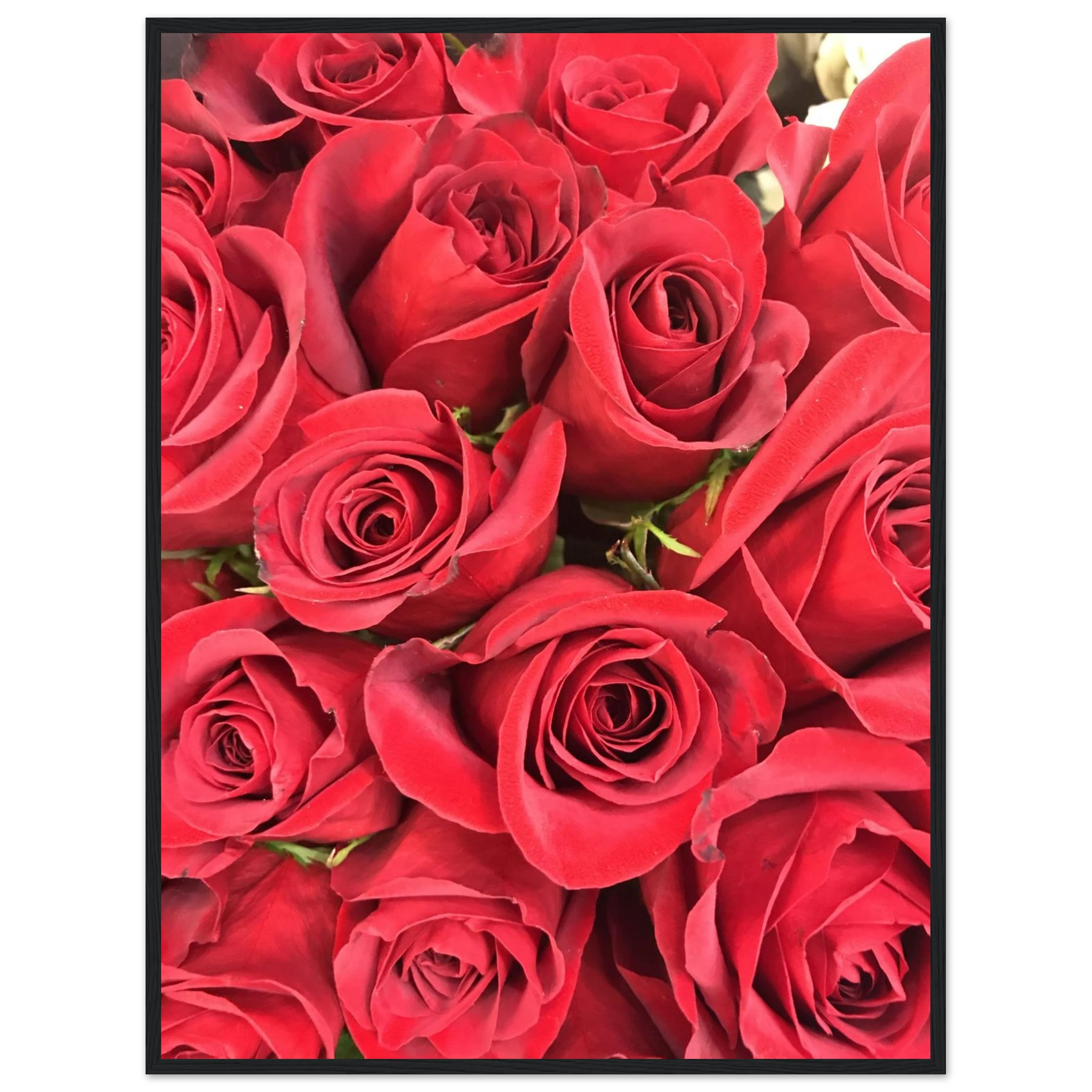 873c39a0-9d6e-4411-823f-a6a3c49858e5