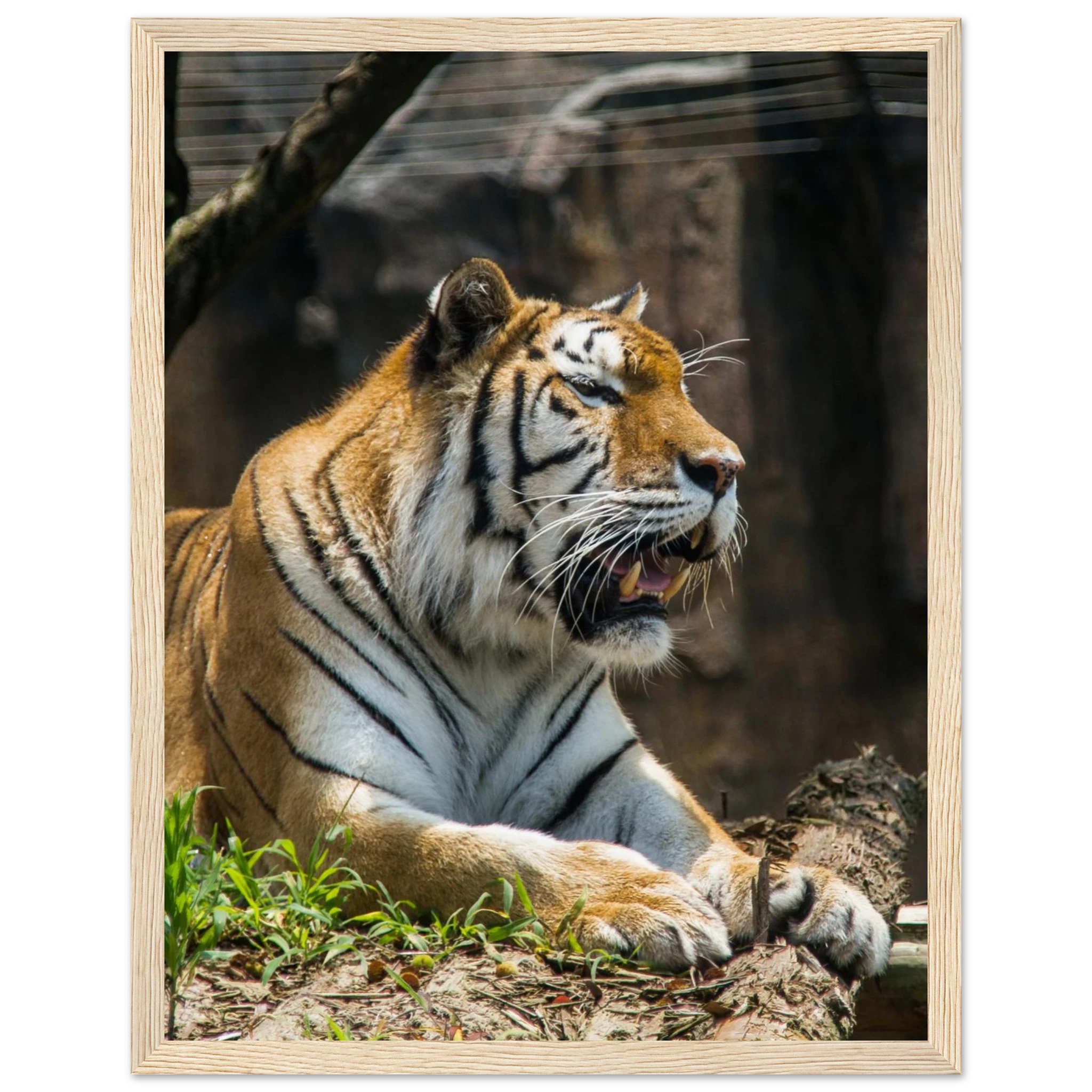 87452964-8e7e-43a6-a3cb-8845816cf98d