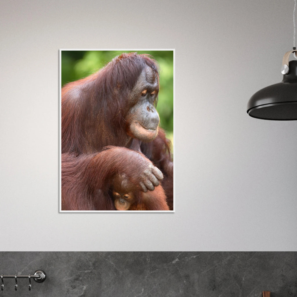 8756f0e3-b788-4963-b4ac-c16debb175a3