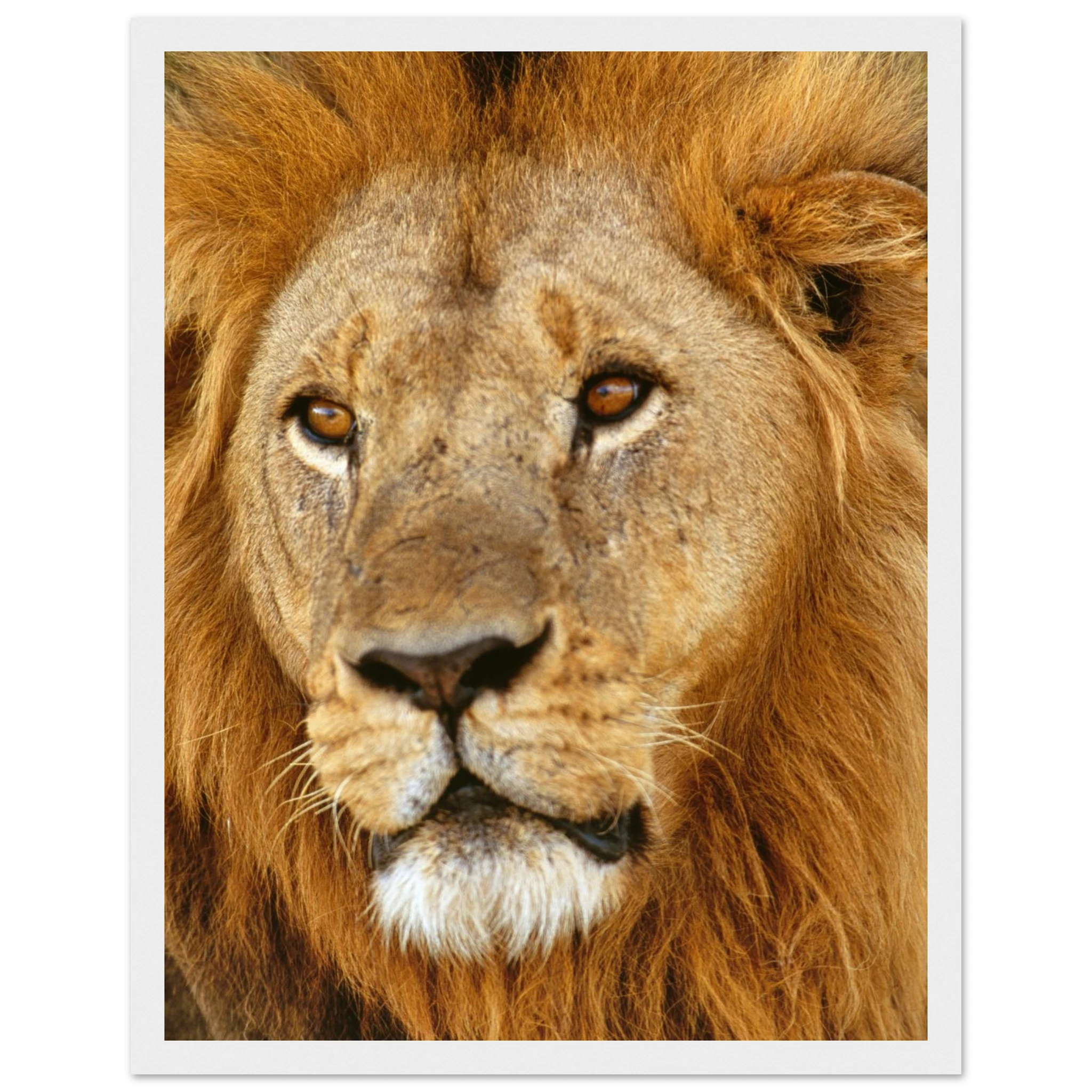 87570a4c-2c5a-4d9e-a0cc-0aac9e5f281d