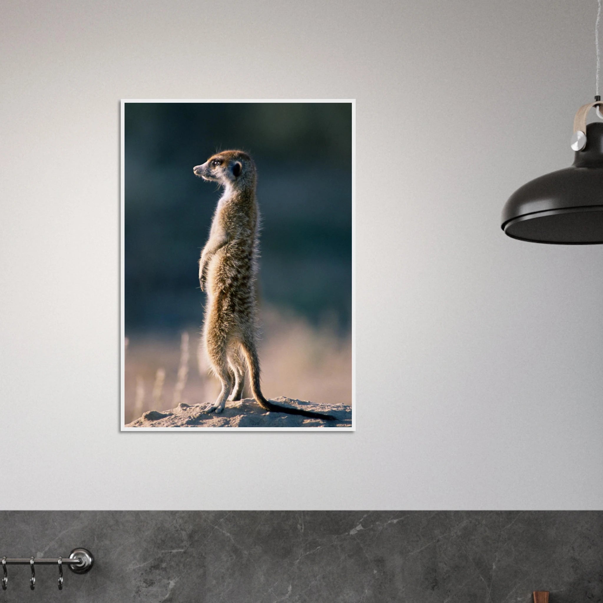 87809dd2-0a09-4afc-8638-9df9ef51ef9c